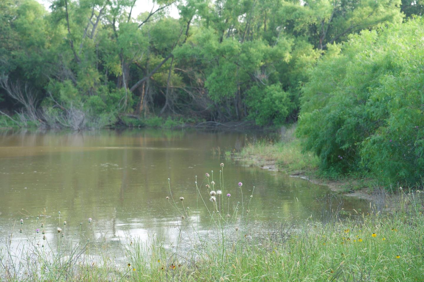 TBD Taylorsville Road Rd, Red Rock, TX 78662