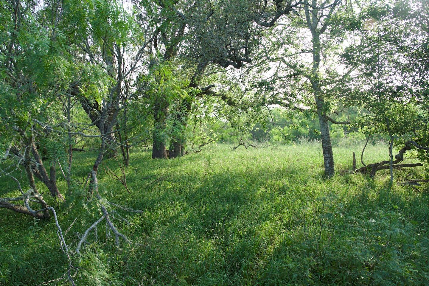 TBD Taylorsville Road Rd, Red Rock, TX 78662