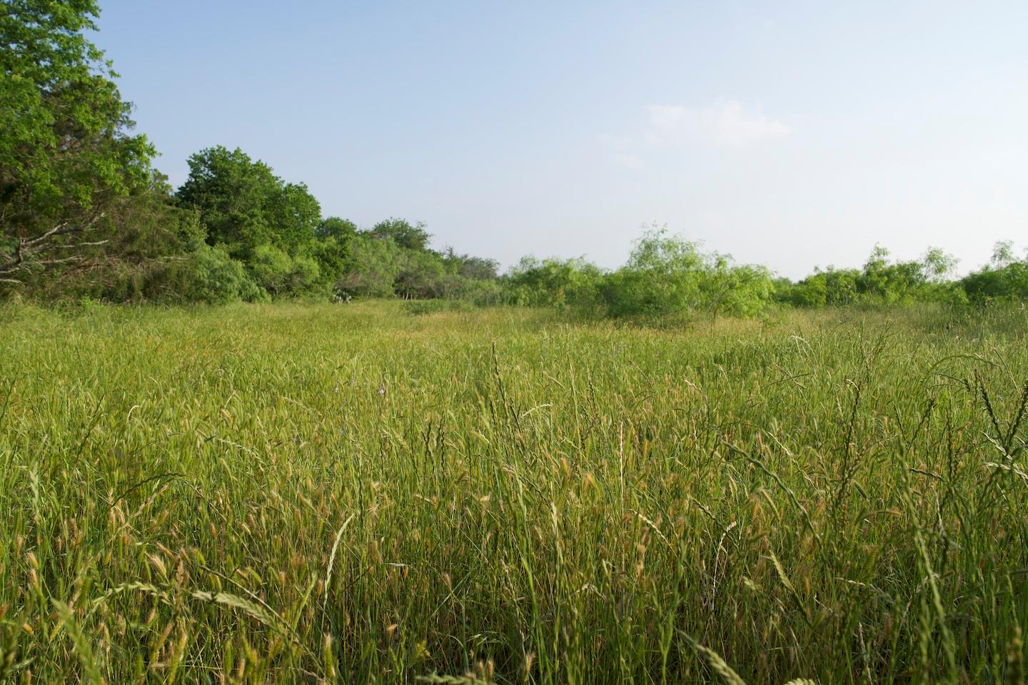 TBD Taylorsville Road Rd, Red Rock, TX 78662