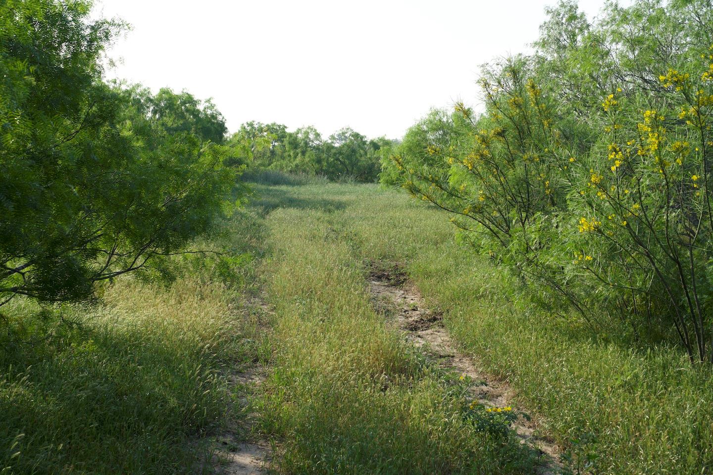 TBD Taylorsville Road Rd, Red Rock, TX 78662