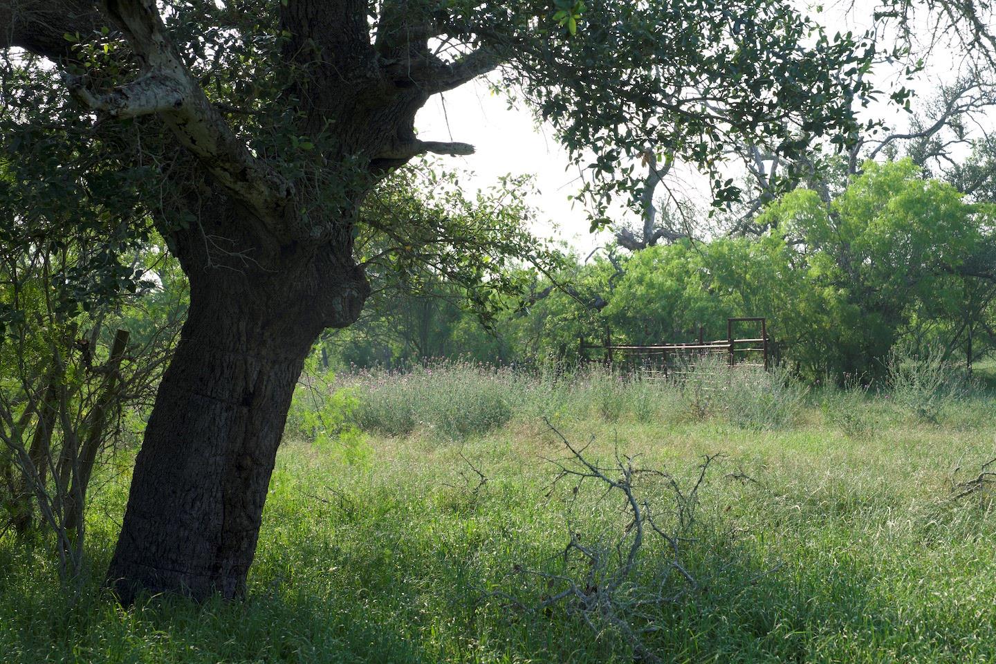 TBD Taylorsville Road Rd, Red Rock, TX 78662