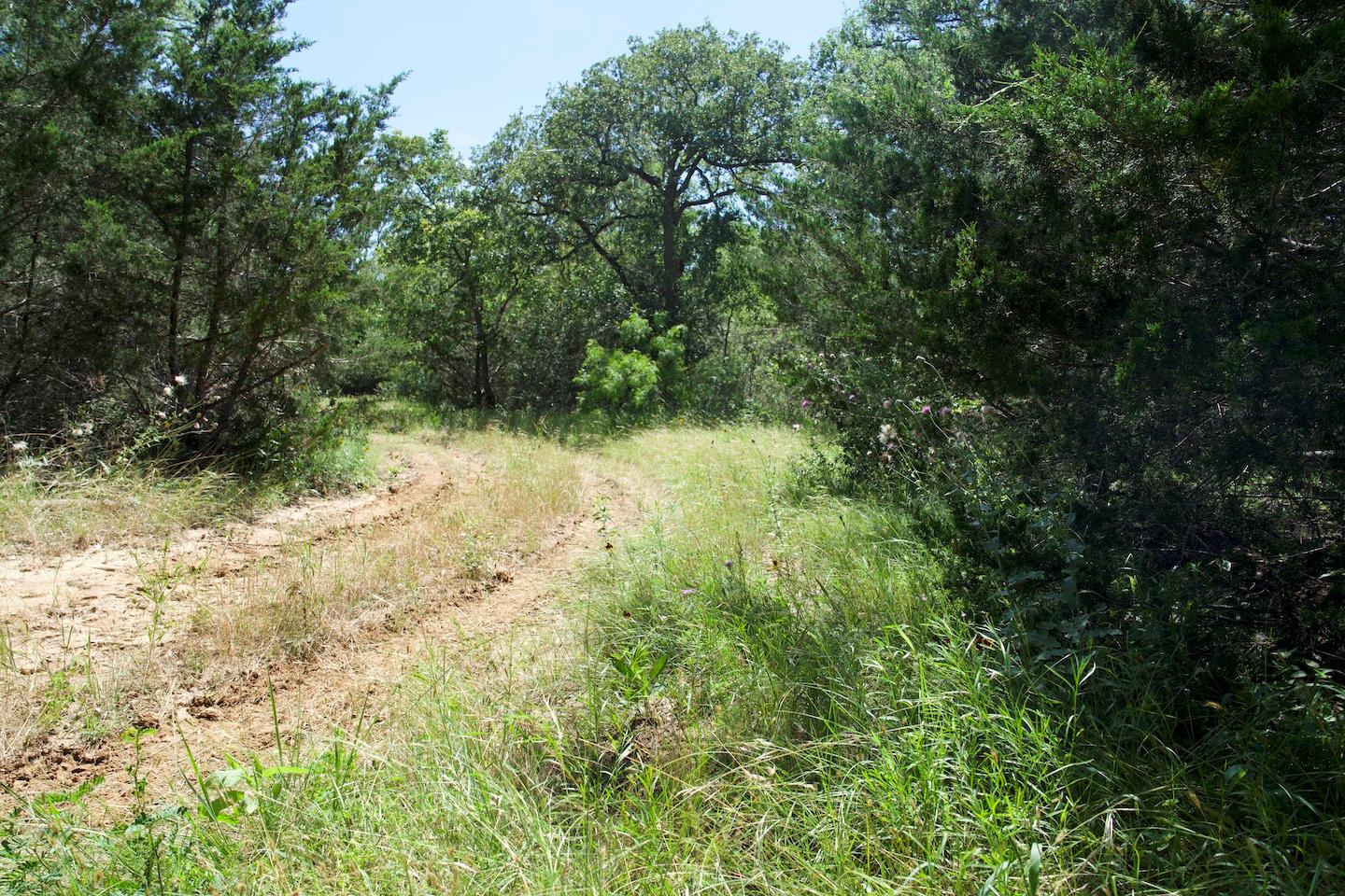 TBD Taylorsville Road Rd, Red Rock, TX 78662