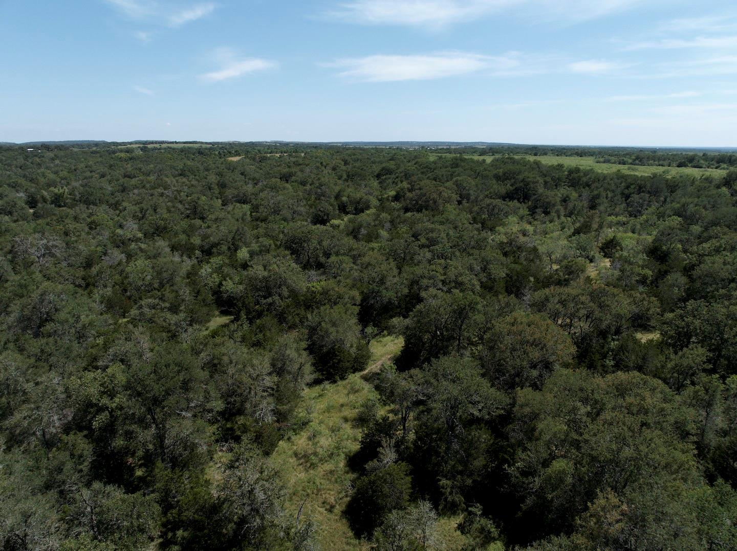 TBD Taylorsville Road Rd, Red Rock, TX 78662