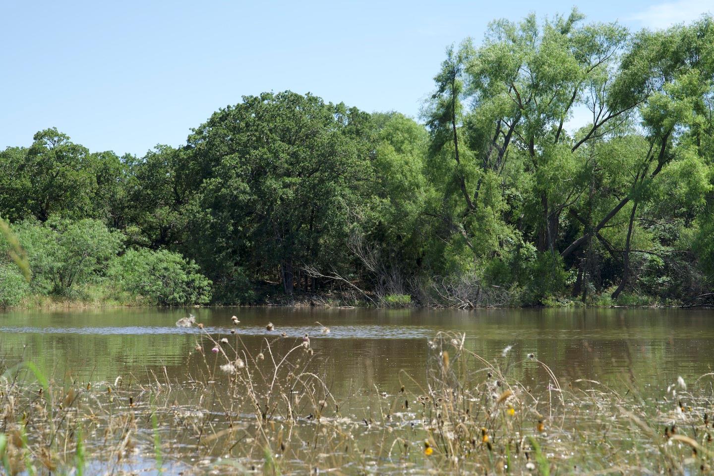 TBD Taylorsville Road Rd, Red Rock, TX 78662