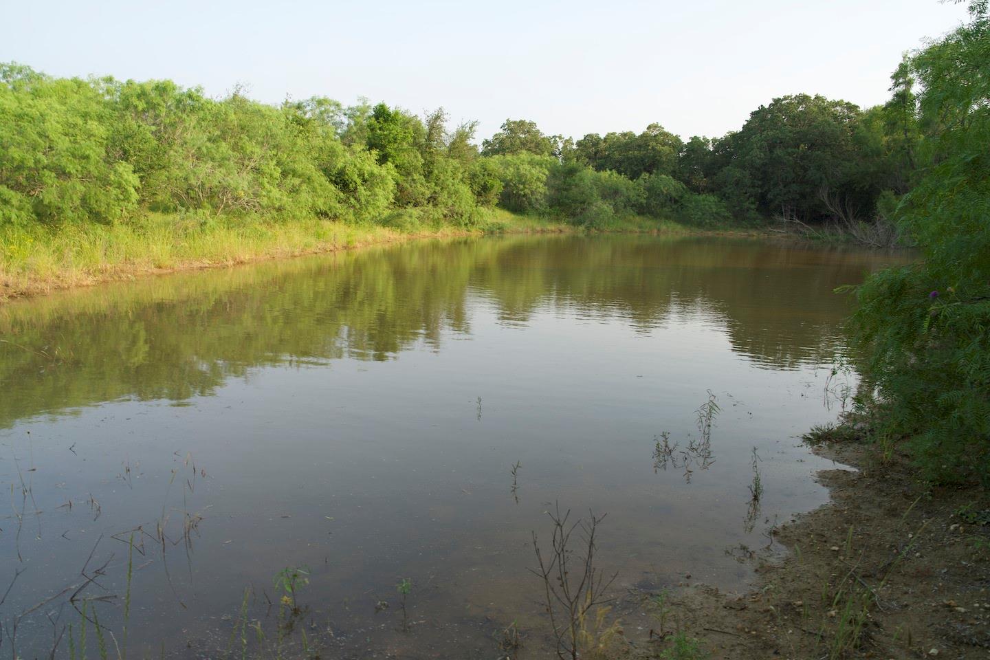 TBD Taylorsville Road Rd, Red Rock, TX 78662