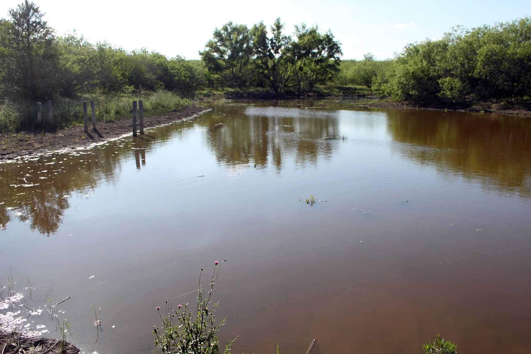 8079 Fm 2001 Highway, Lockhart, TX 78644