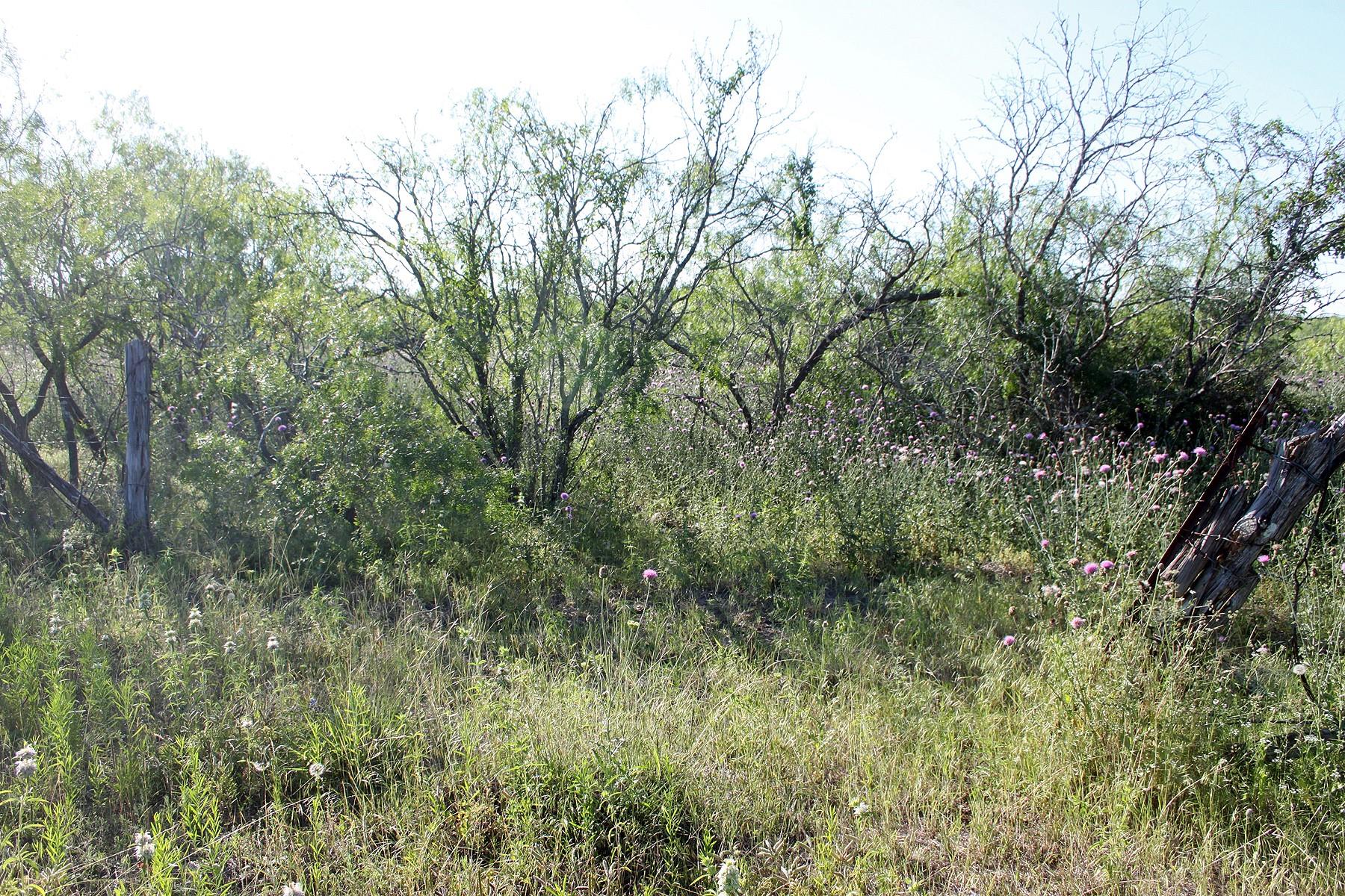 8079 Fm 2001 Highway, Lockhart, TX 78644