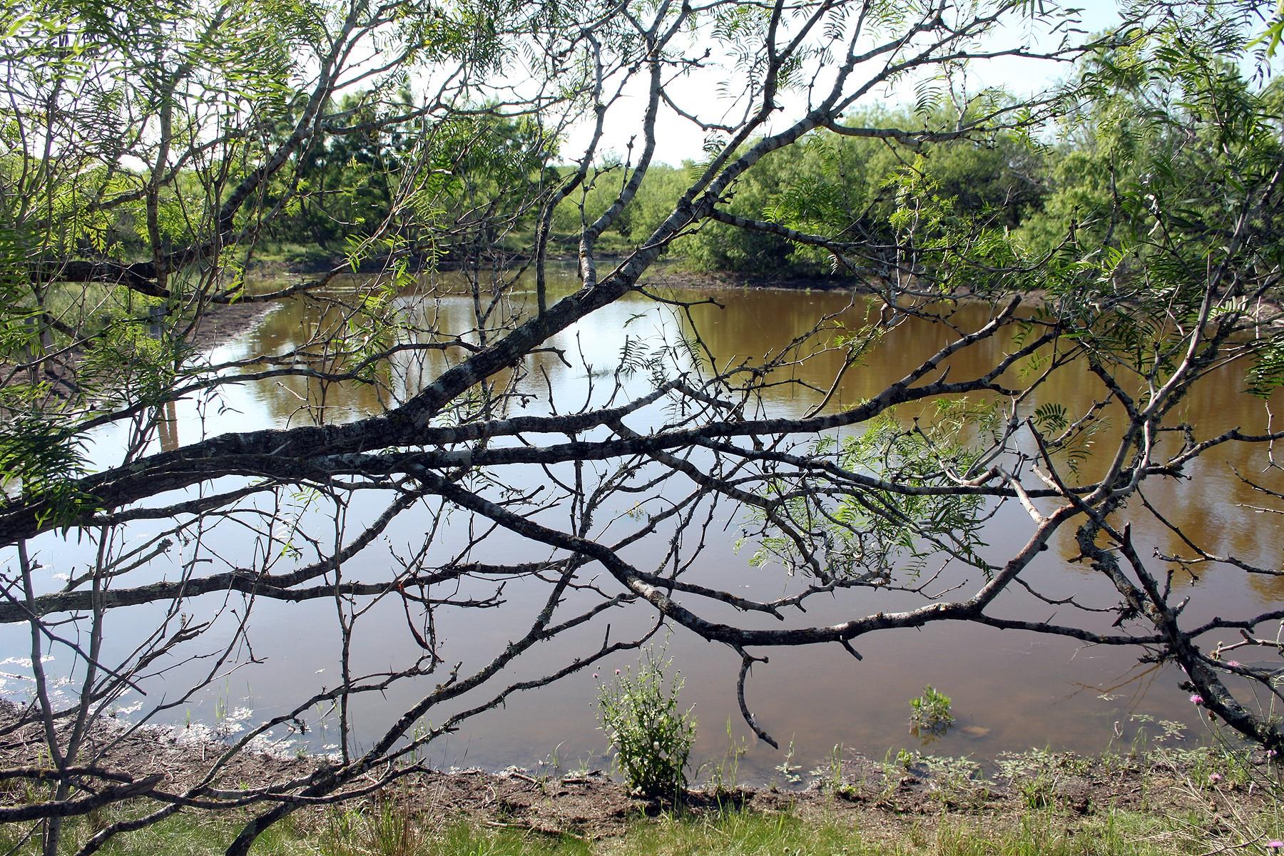 8079 Fm 2001 Highway, Lockhart, TX 78644