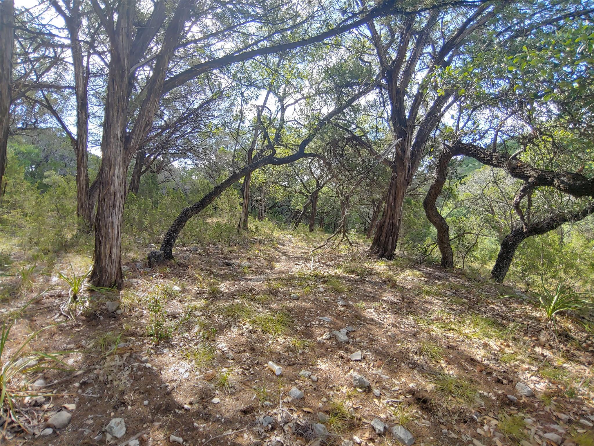 21100 Park Dr, Lago Vista, TX 78645