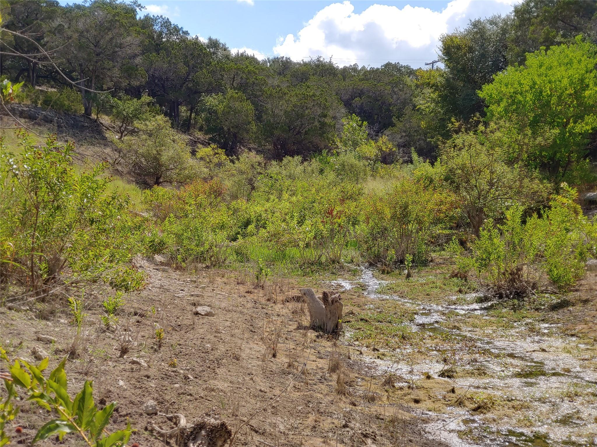 21100 Park Dr, Lago Vista, TX 78645