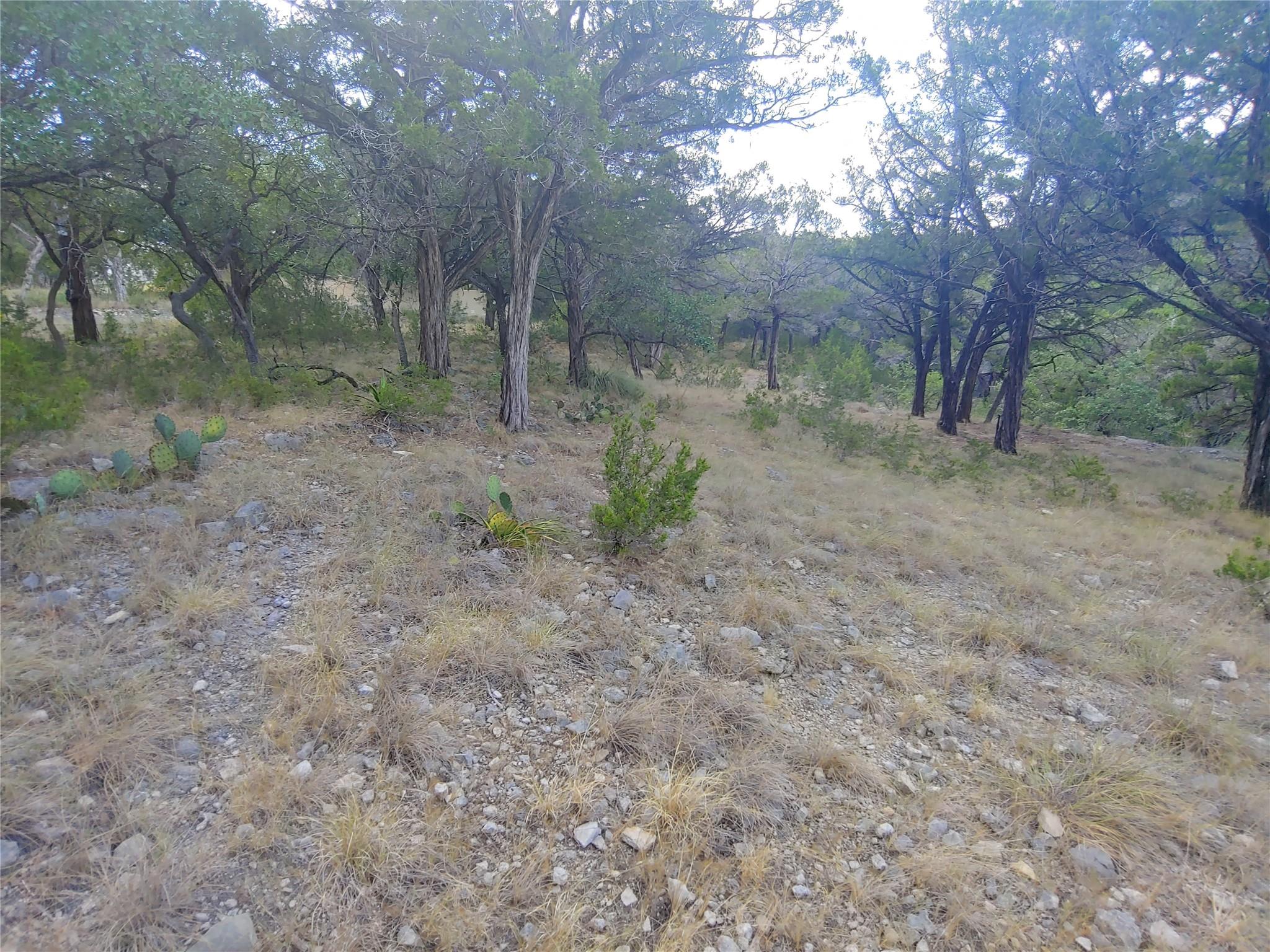 21100 Park Dr, Lago Vista, TX 78645