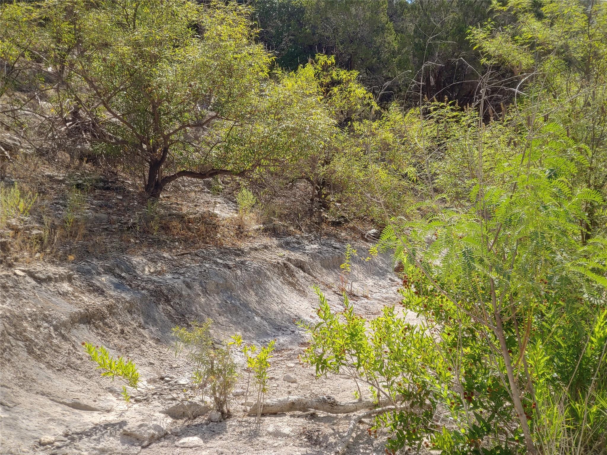 21100 Park Dr, Lago Vista, TX 78645