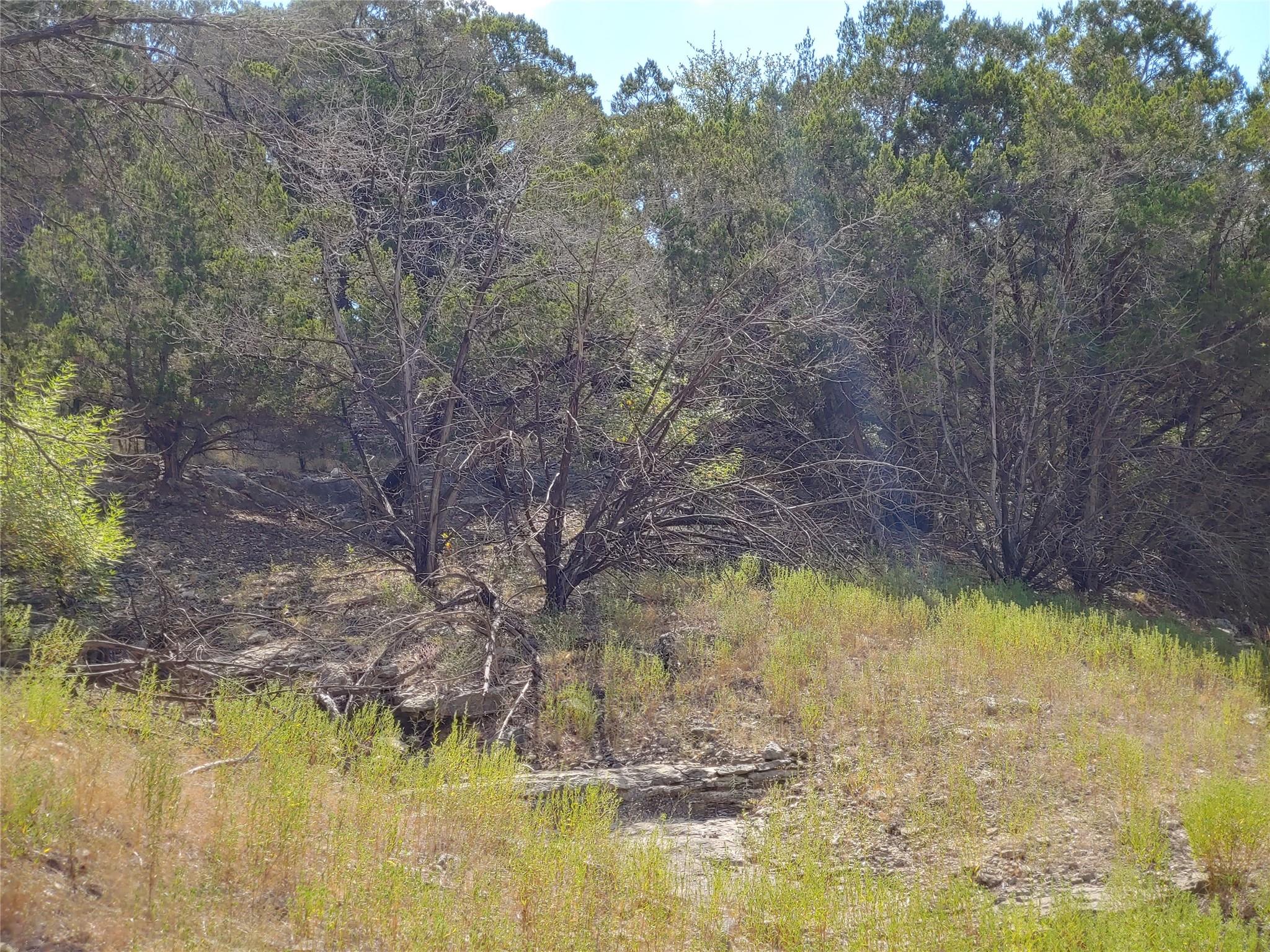 21100 Park Dr, Lago Vista, TX 78645