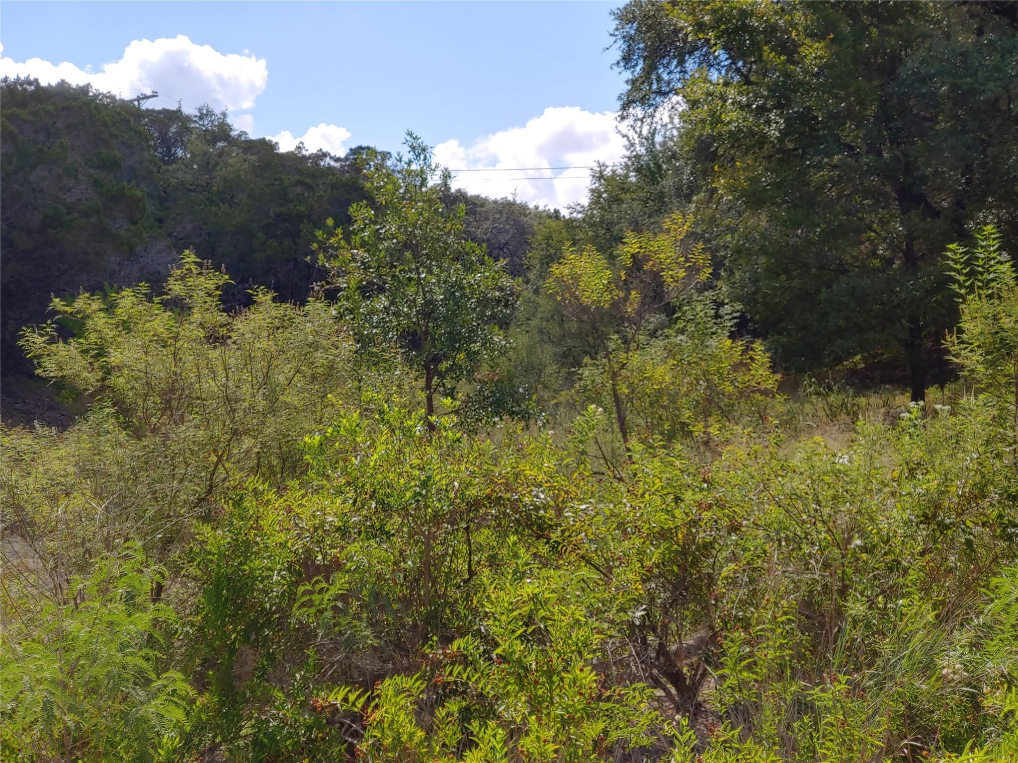 21100 Park Dr, Lago Vista, TX 78645