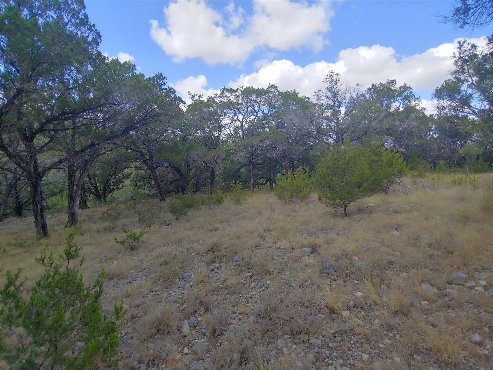 21100 Park Dr, Lago Vista, TX 78645