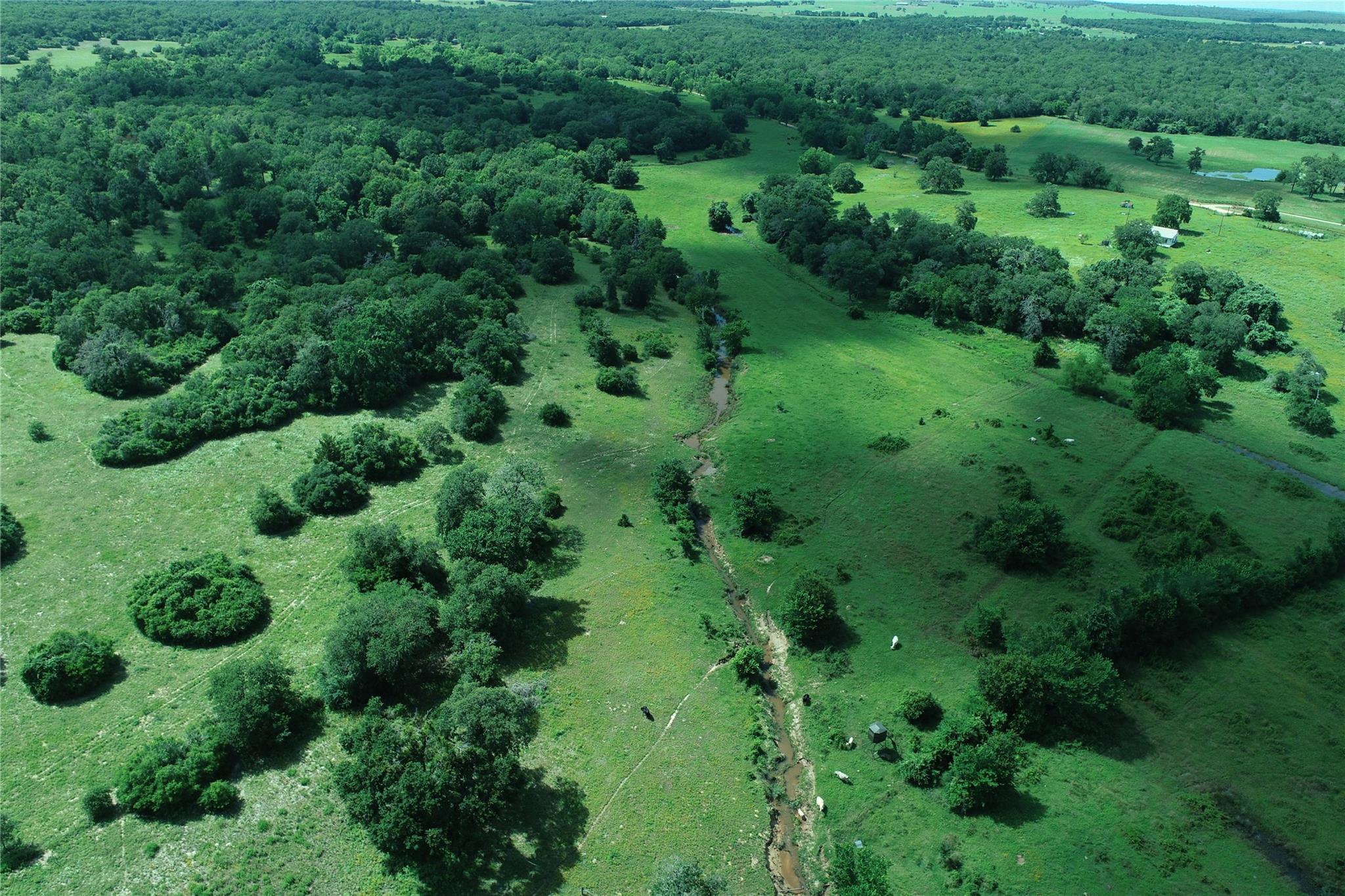 2055 CR 342 Rd, Milano, TX 76556