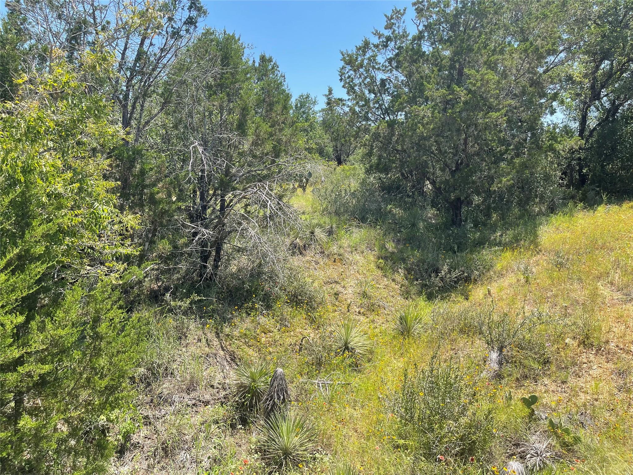 TBD E Castlelakes Dr, Granite Shoals, TX 78654