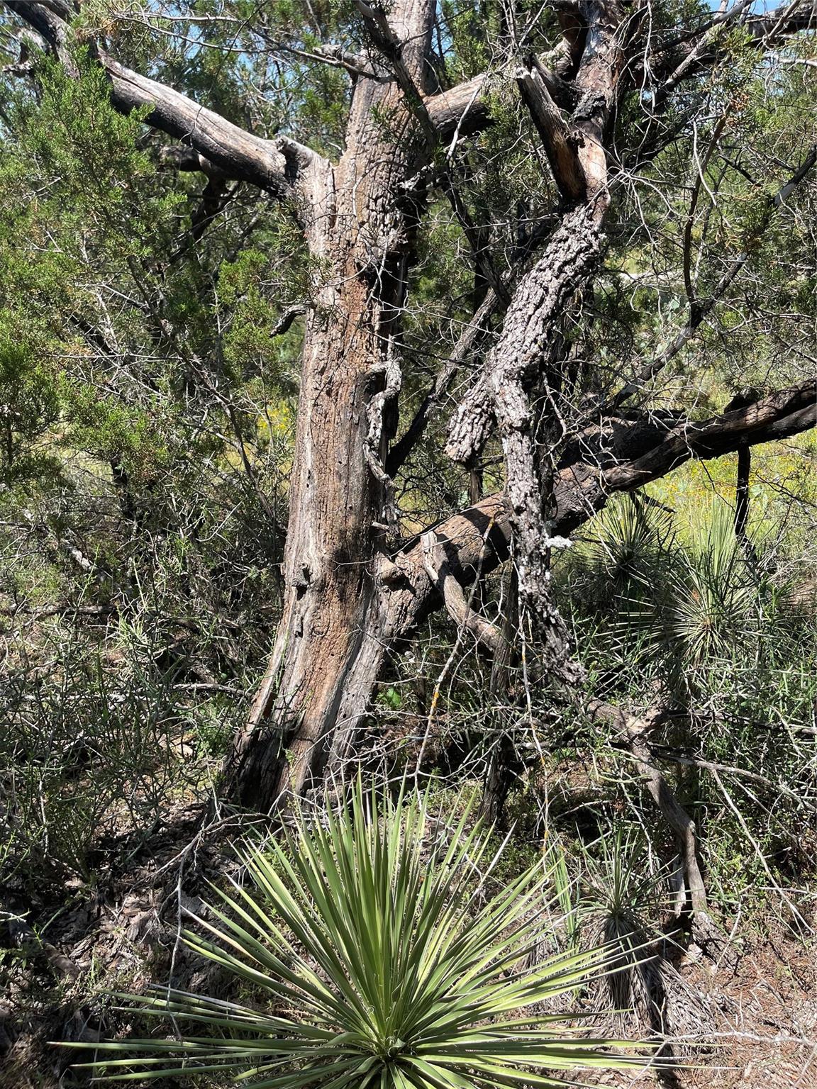 TBD E Castlelakes Dr, Granite Shoals, TX 78654