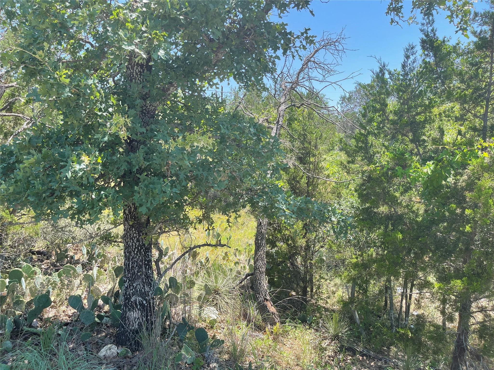 TBD E Castlelakes Dr, Granite Shoals, TX 78654