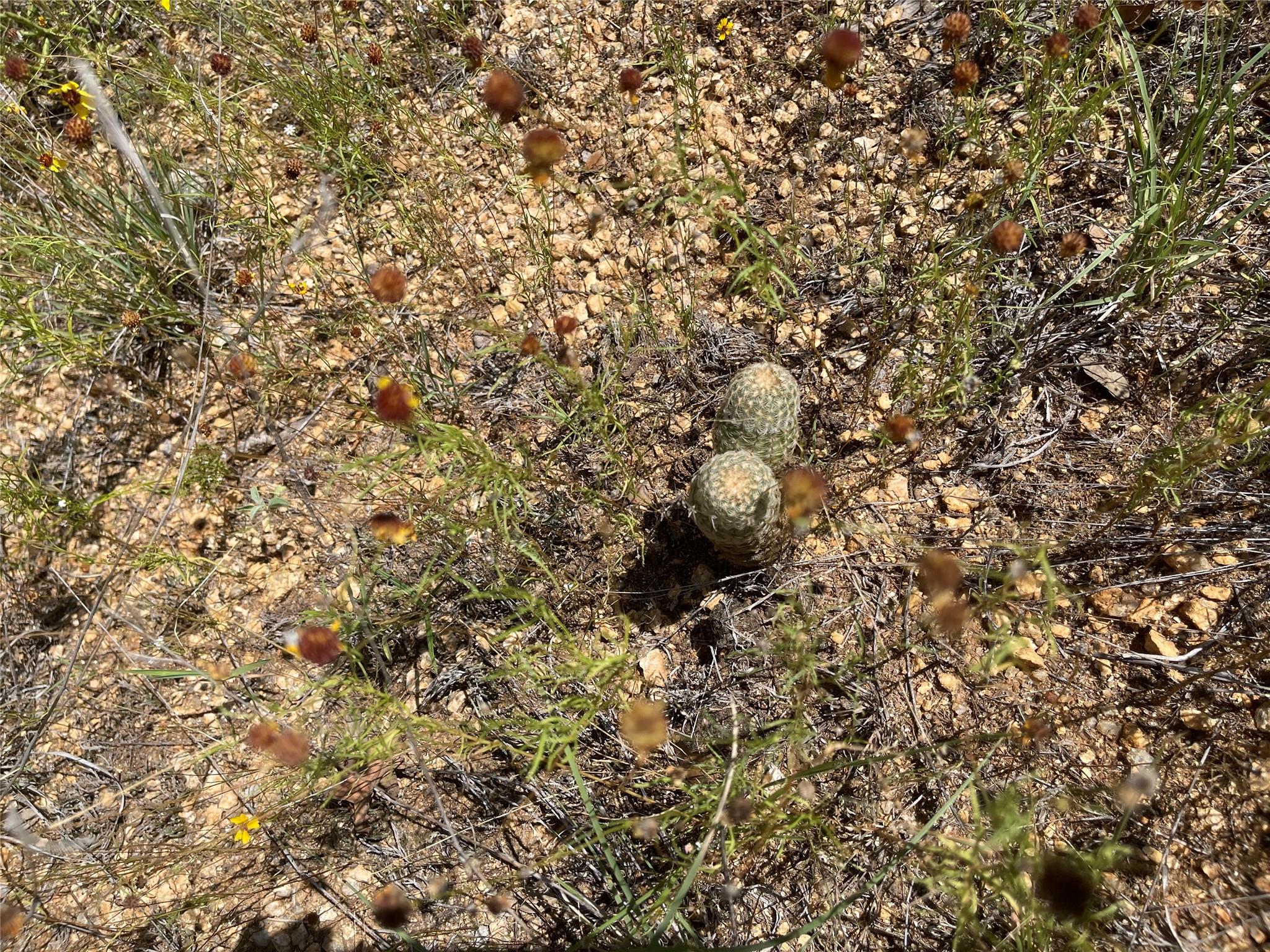 TBD E Castlelakes Dr, Granite Shoals, TX 78654