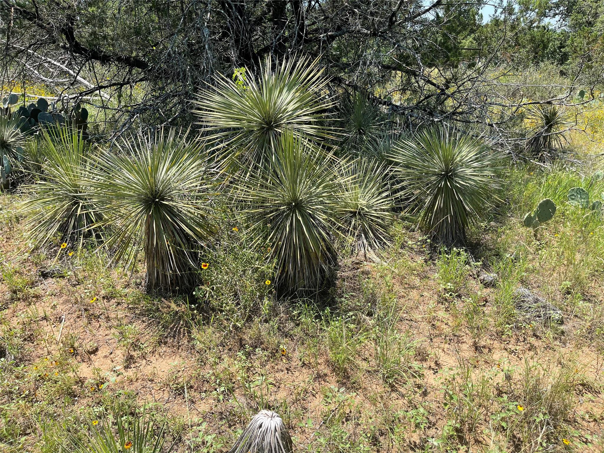 TBD E Castlelakes Dr, Granite Shoals, TX 78654