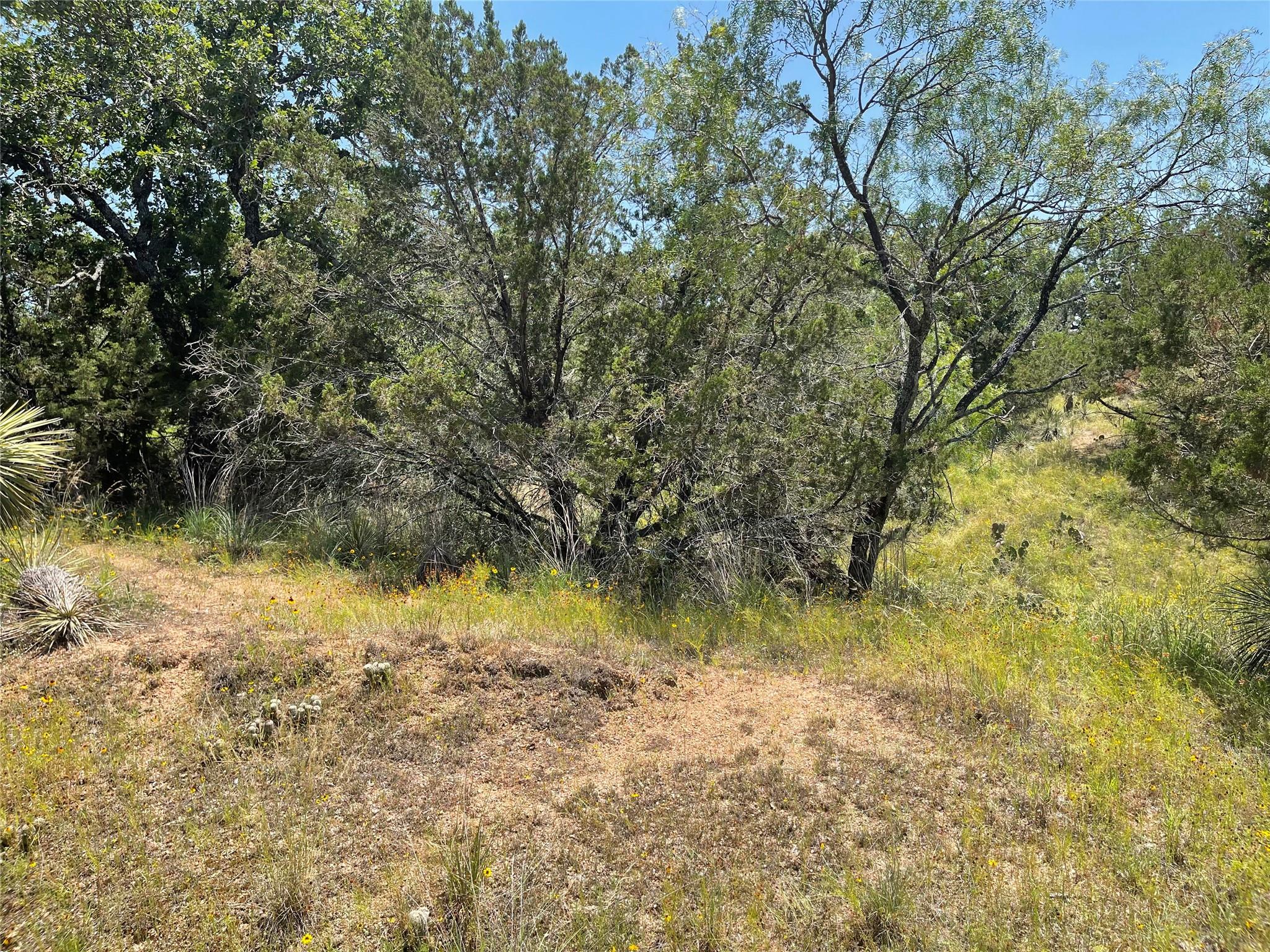 TBD E Castlelakes Dr, Granite Shoals, TX 78654