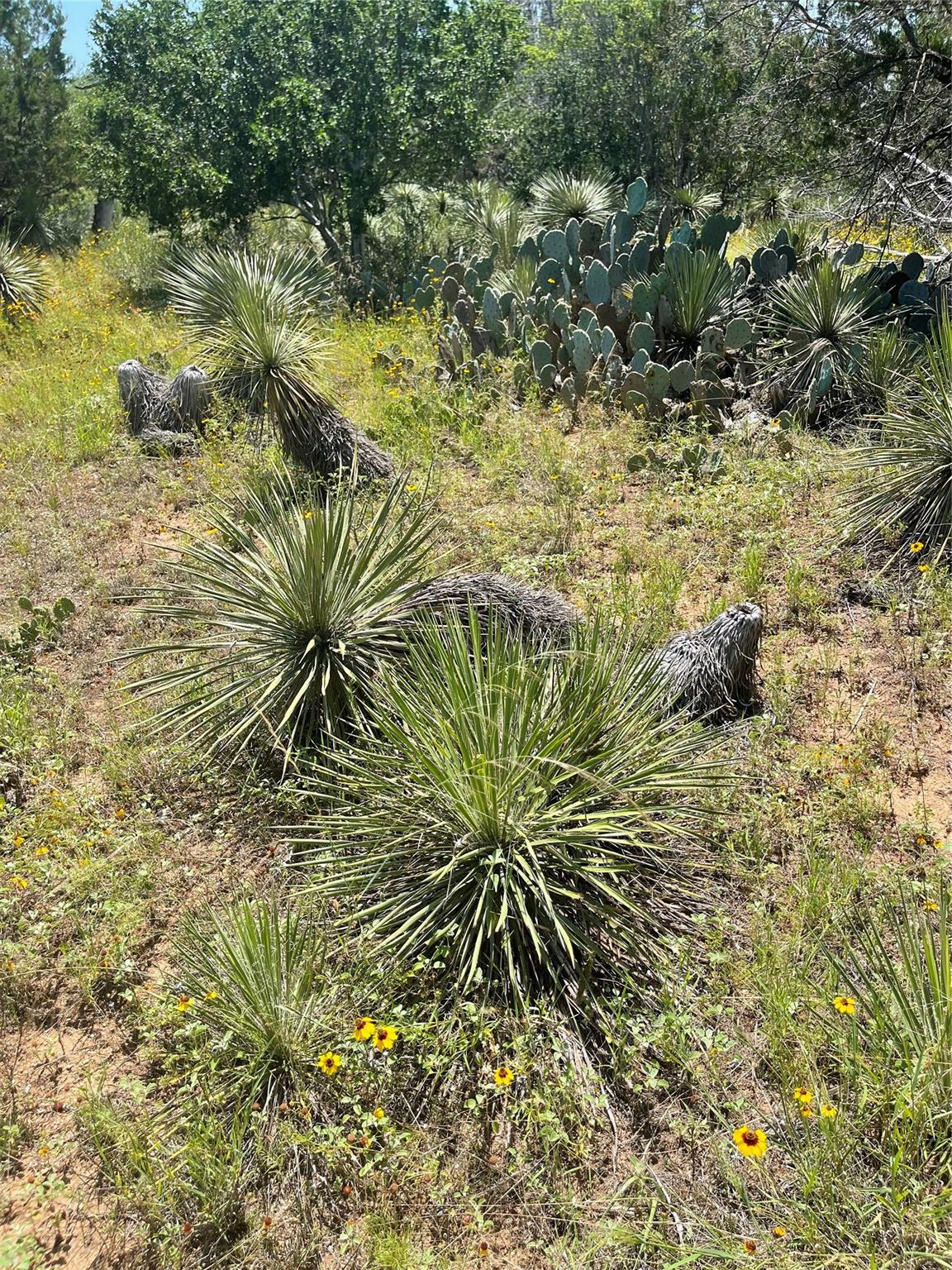 TBD E Castlelakes Dr, Granite Shoals, TX 78654