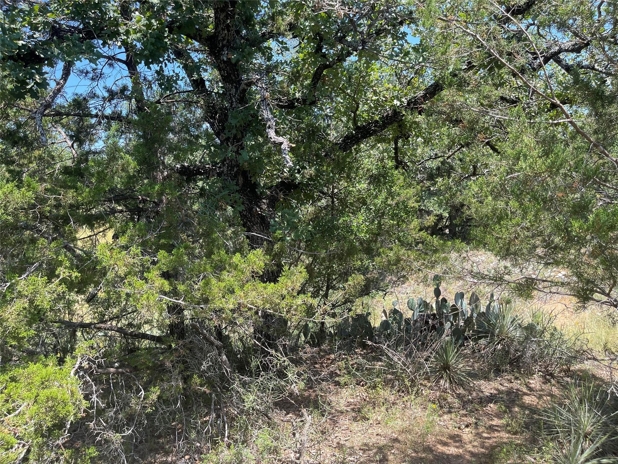 TBD E Castlelakes Dr, Granite Shoals, TX 78654