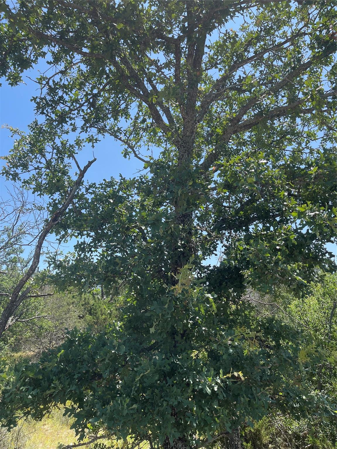 TBD E Castlelakes Dr, Granite Shoals, TX 78654