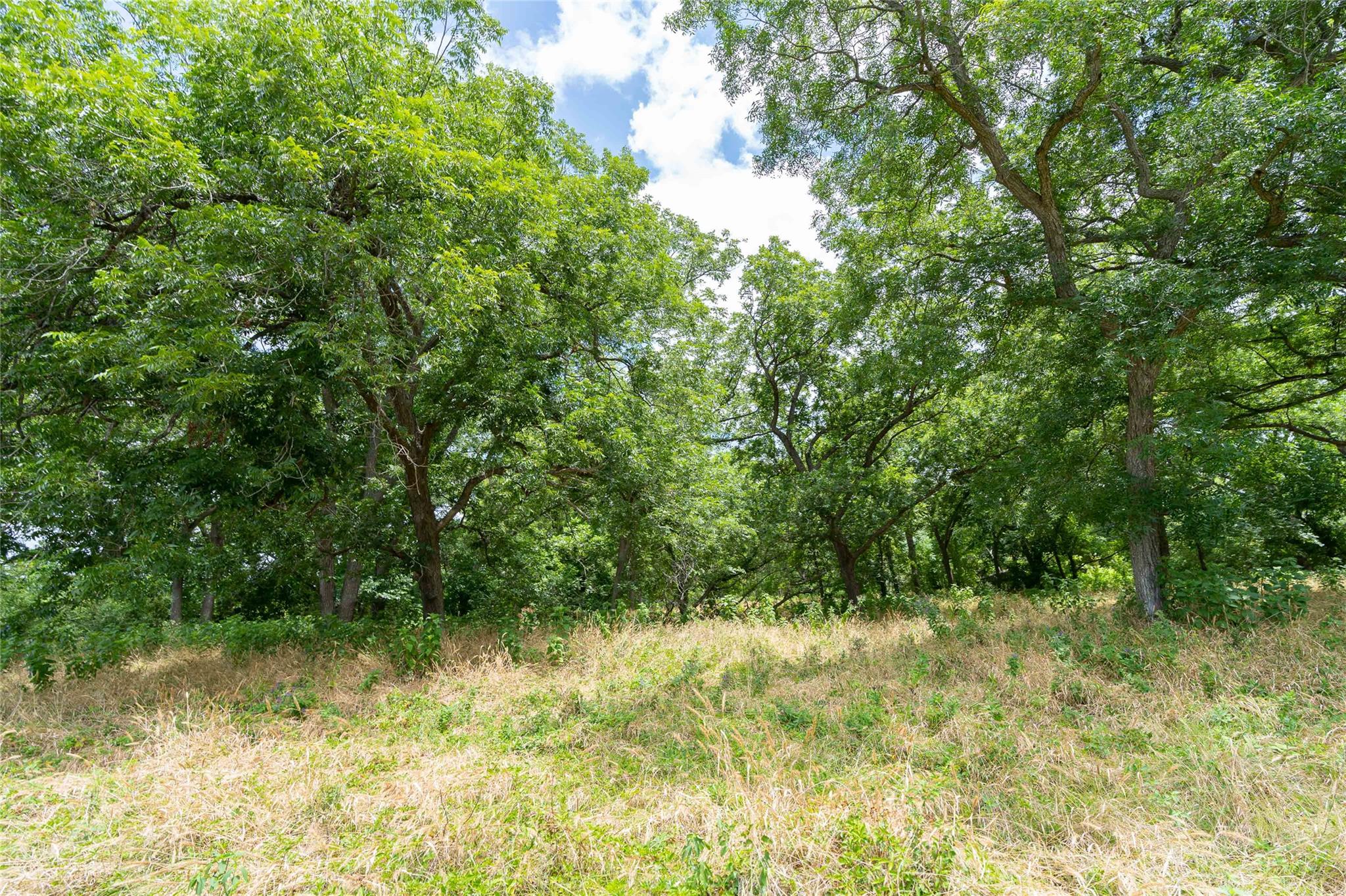 000 FM 671, Luling, TX 78648