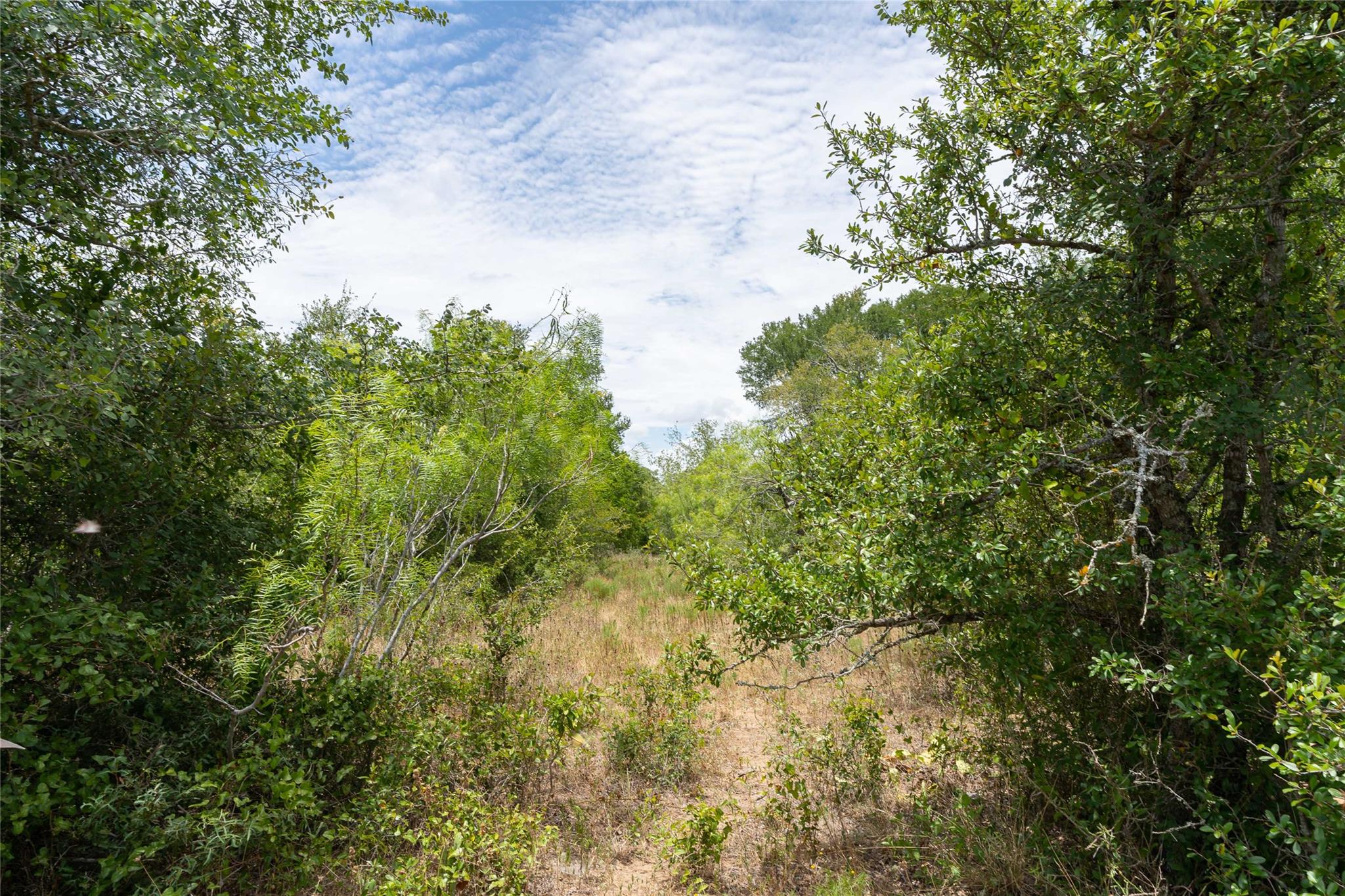 000 FM 671, Luling, TX 78648