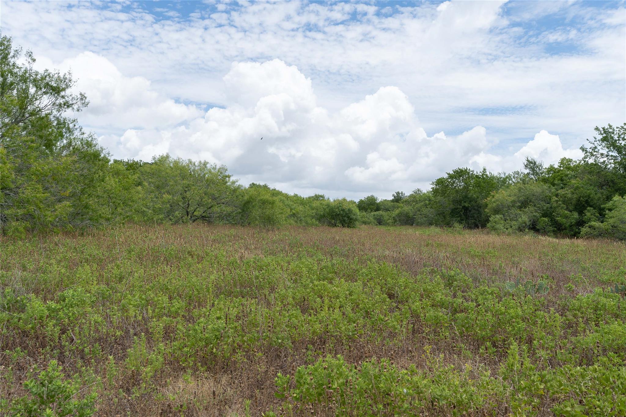 000 FM 671, Luling, TX 78648