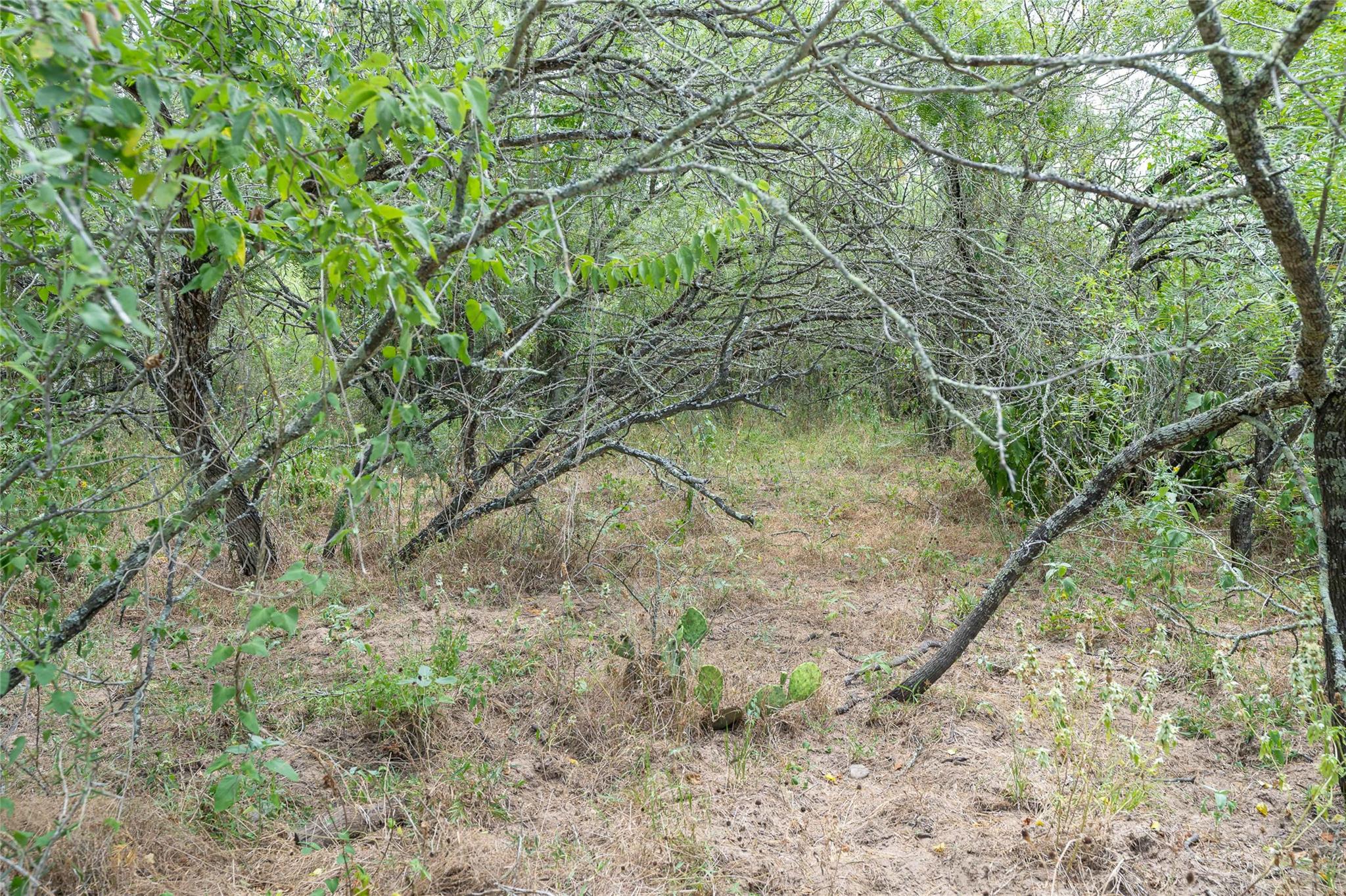 000 FM 671, Luling, TX 78648