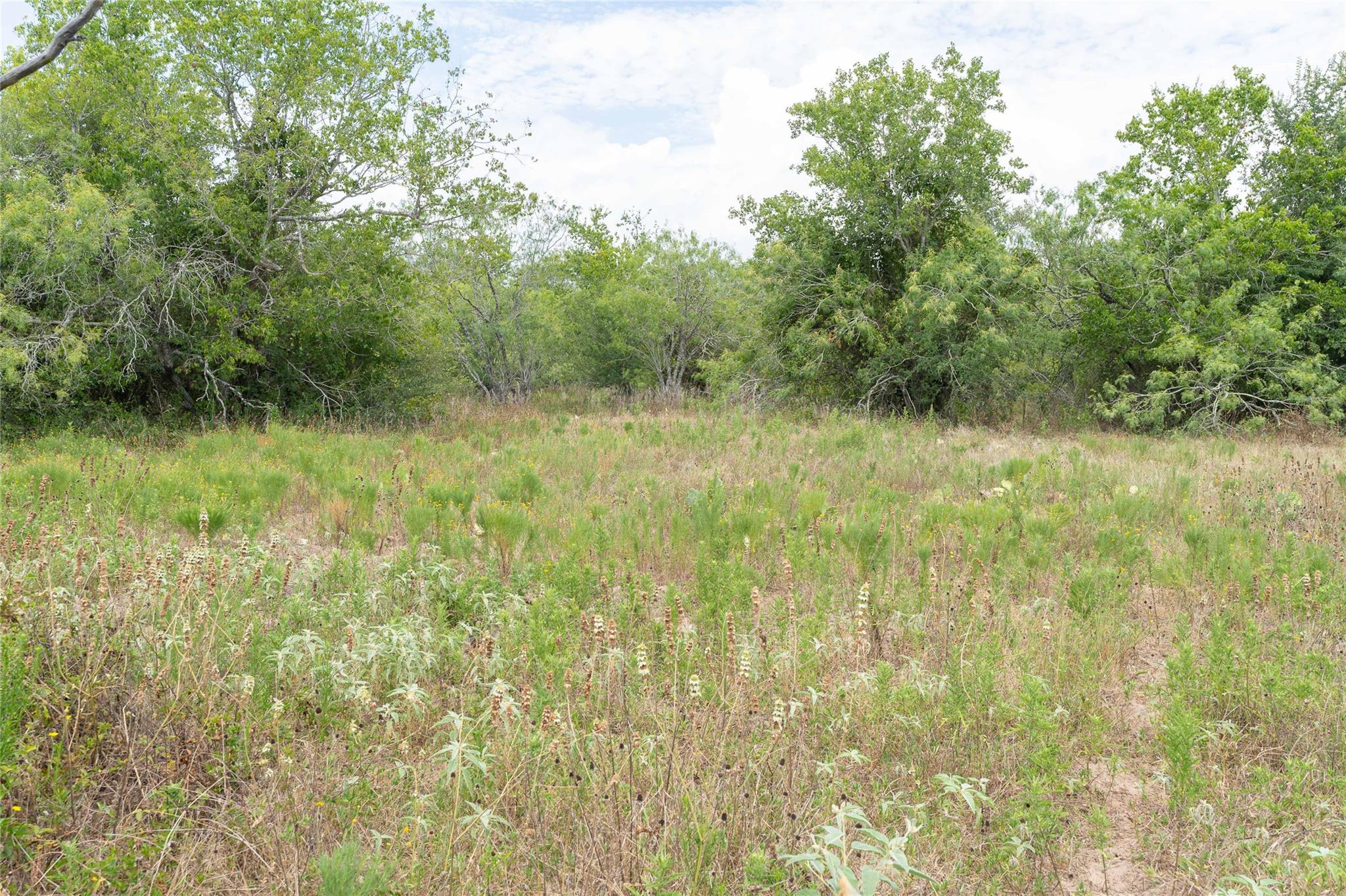 000 FM 671, Luling, TX 78648