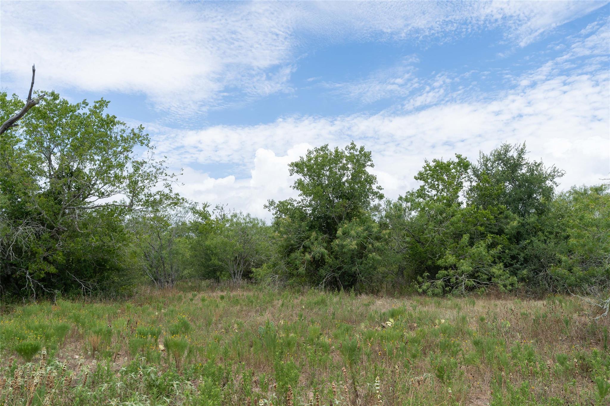 000 FM 671, Luling, TX 78648