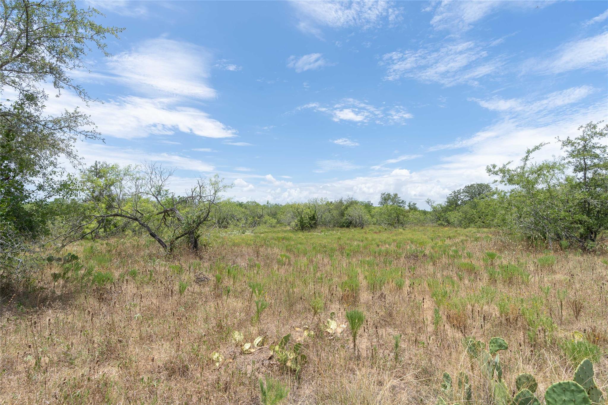 000 FM 671, Luling, TX 78648