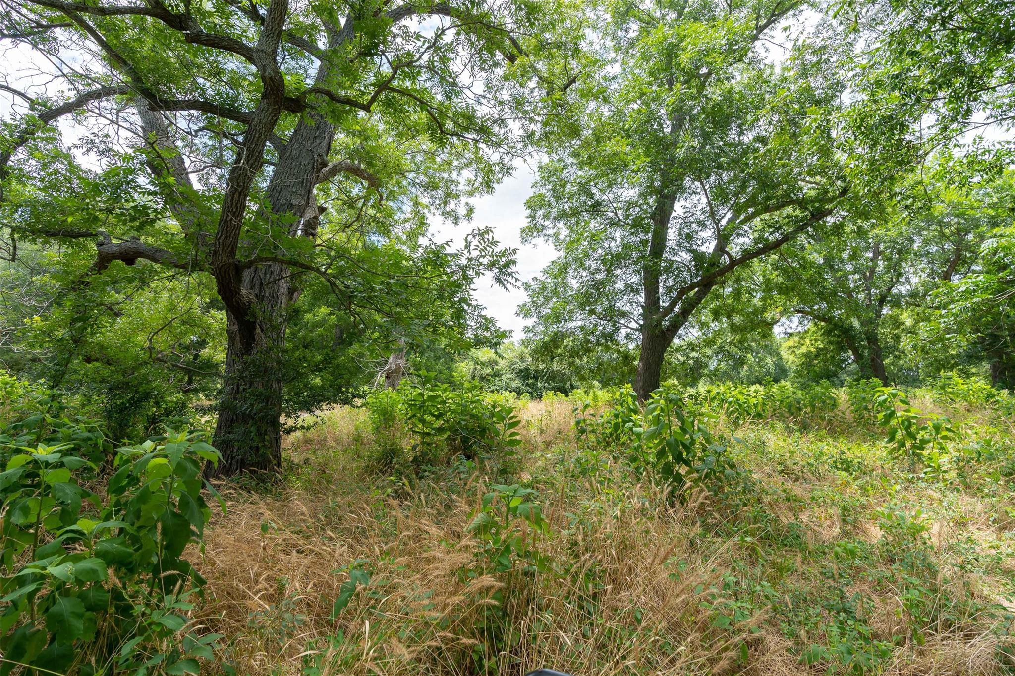 000 FM 671, Luling, TX 78648