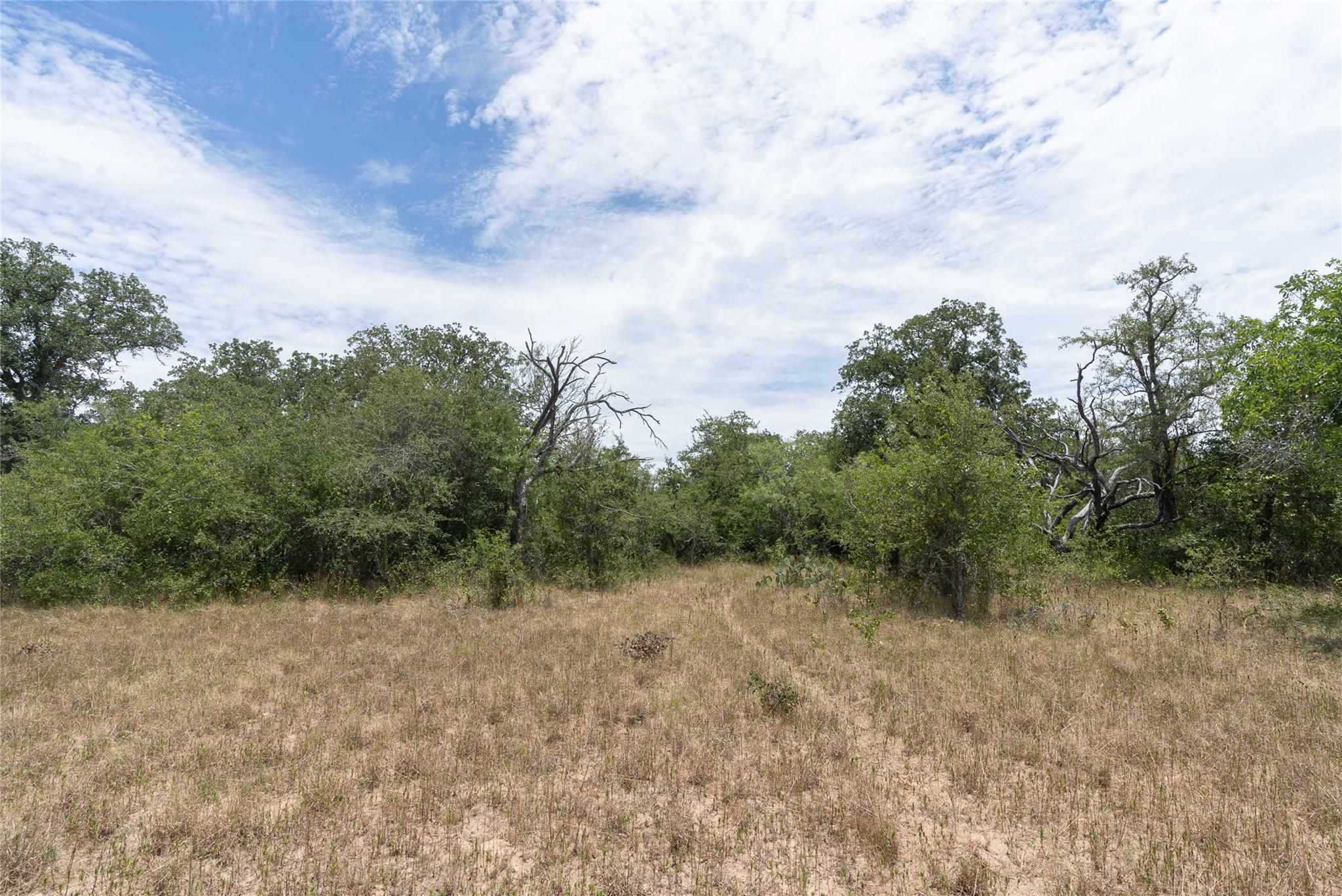 000 FM 671, Luling, TX 78648