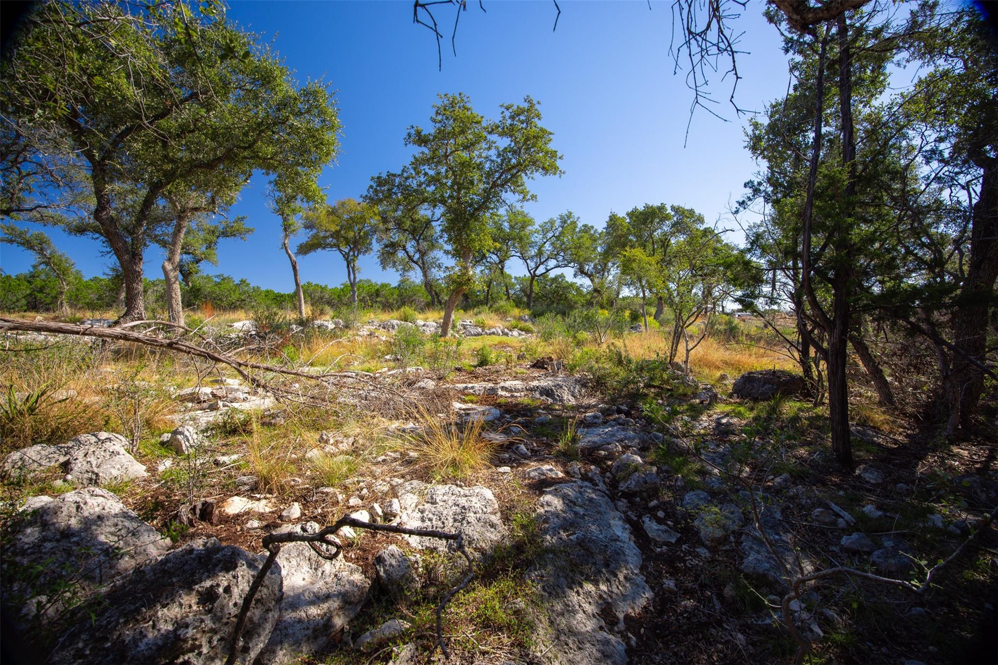 1962 Paradise Pkwy, Canyon Lake, TX 78133