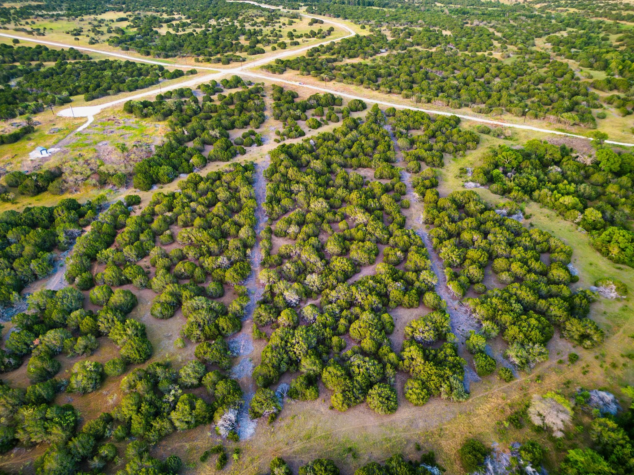 969 J D Bolt, Hamilton, TX 76531