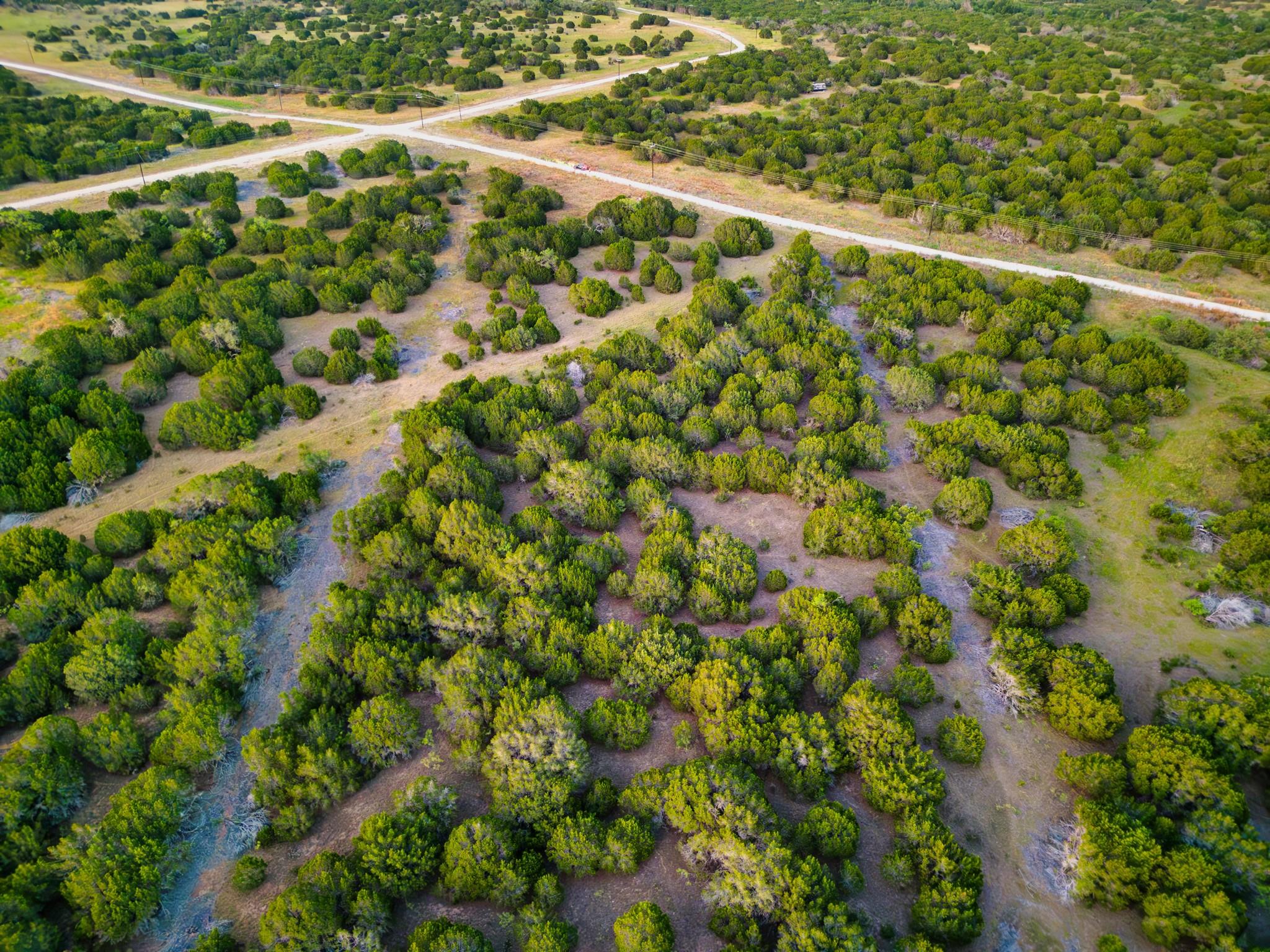 969 J D Bolt, Hamilton, TX 76531