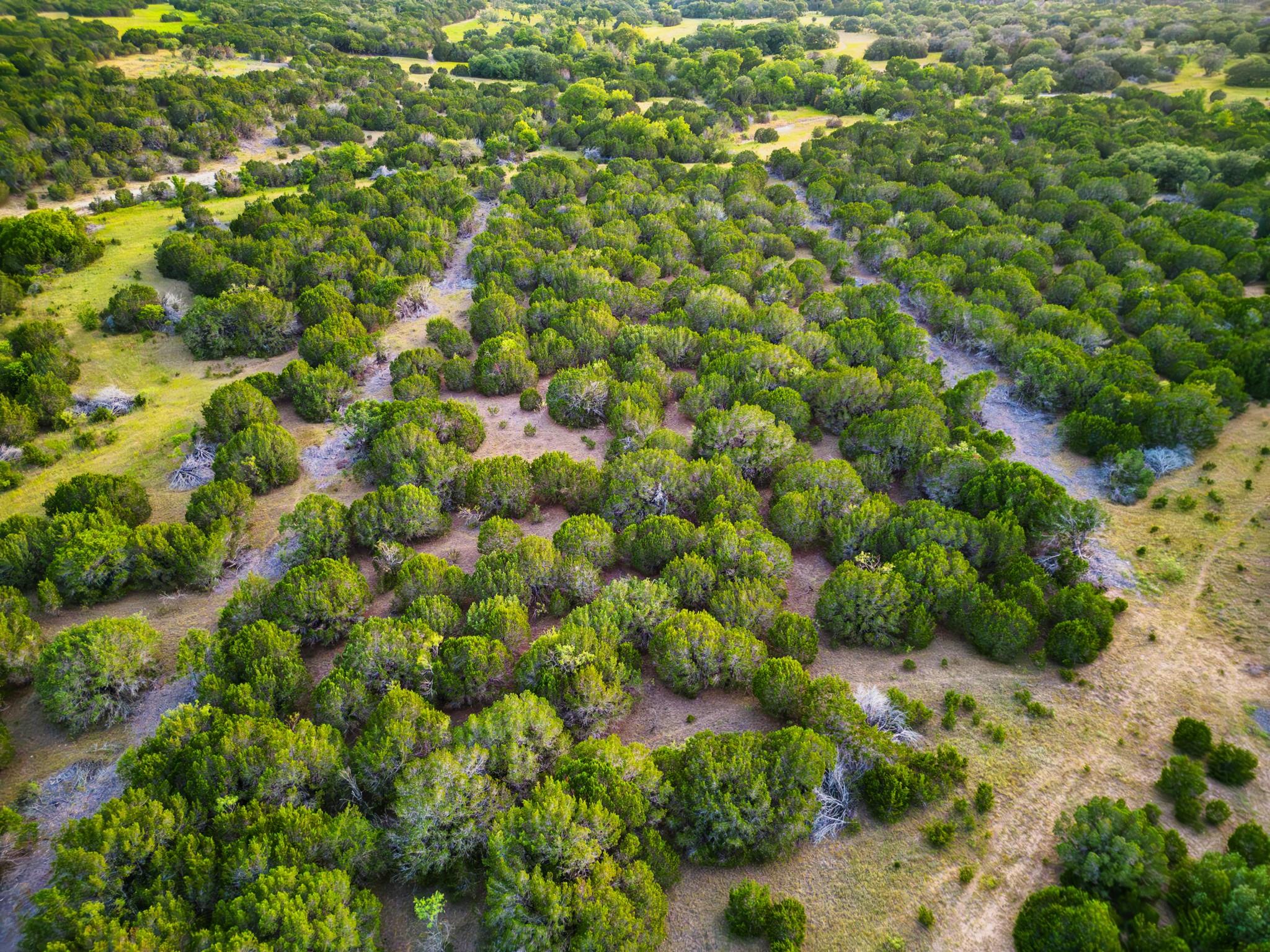 969 J D Bolt, Hamilton, TX 76531