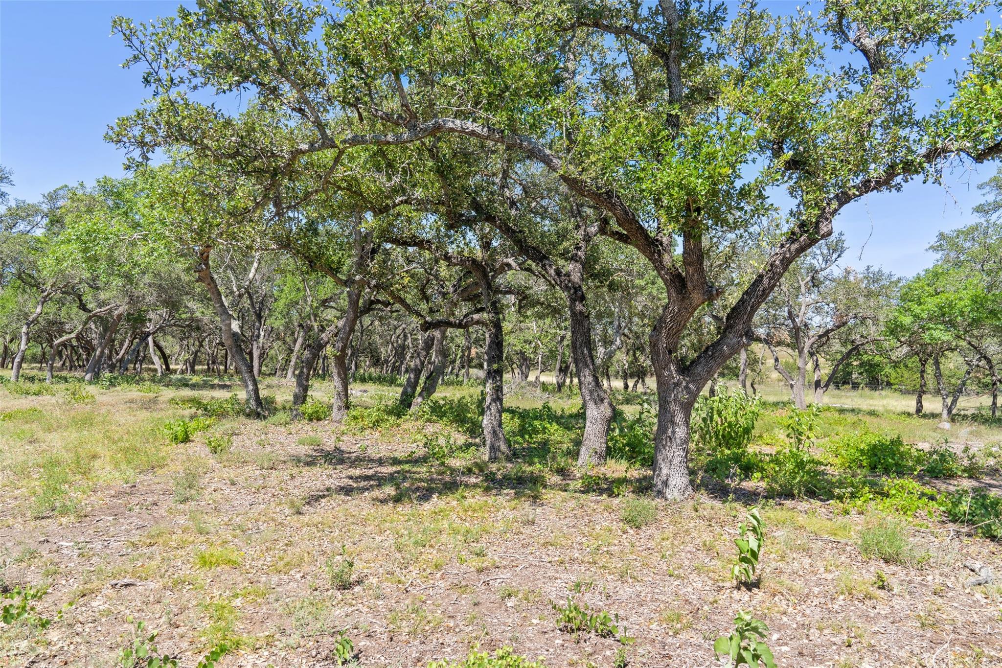 Tract 12 LewDele Ln, Blanco, TX 78671