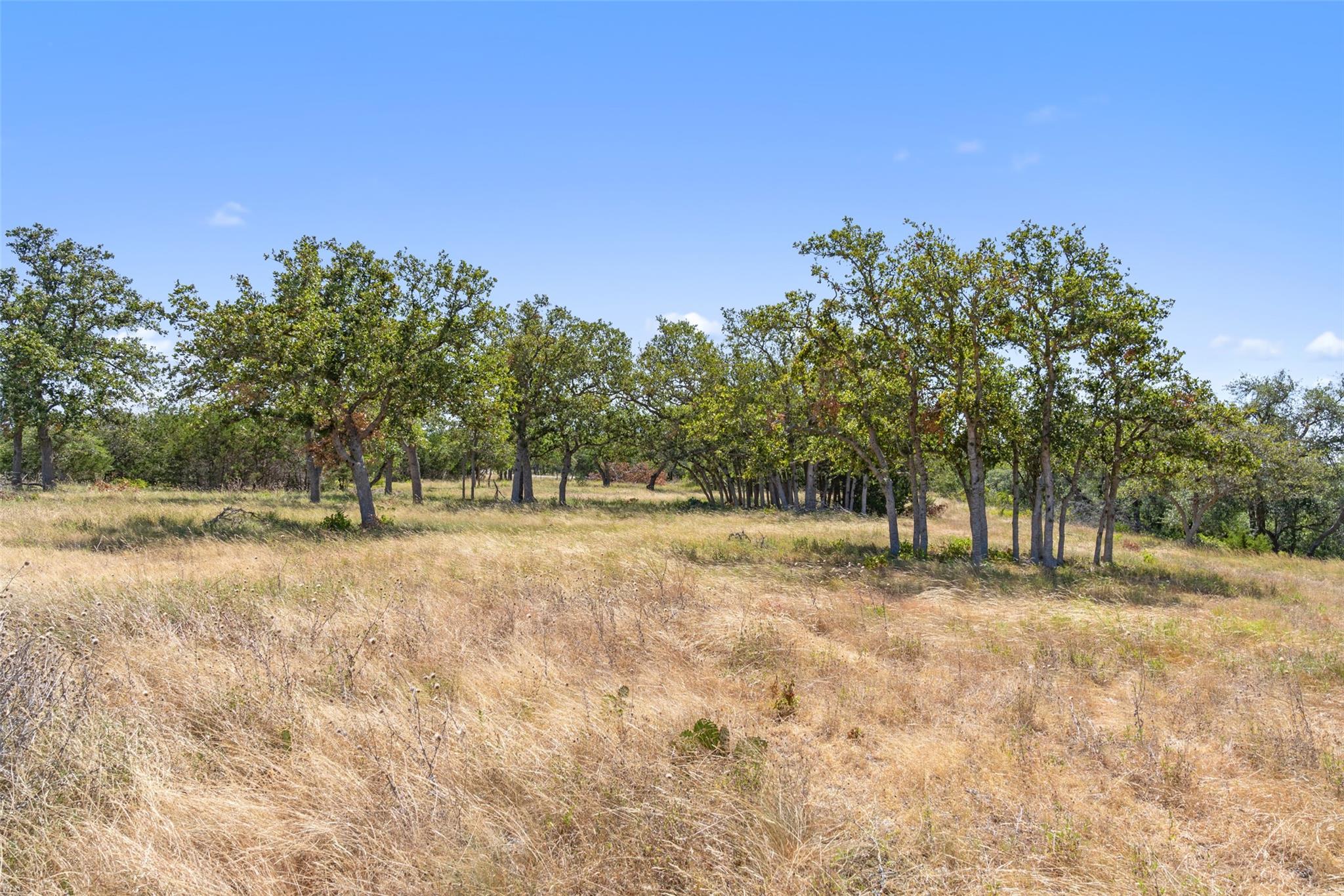 Tract 12 LewDele Ln, Blanco, TX 78671