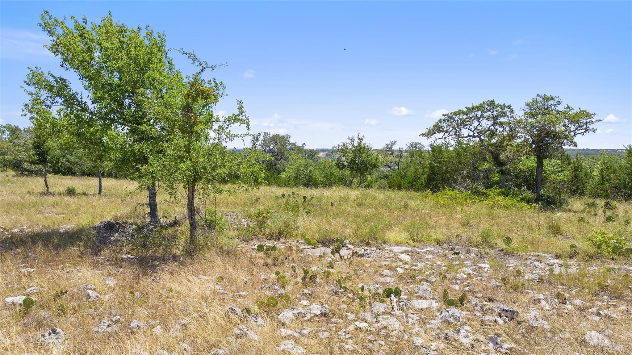 Tract 1 Skyline Dr, Blanco, TX 78606
