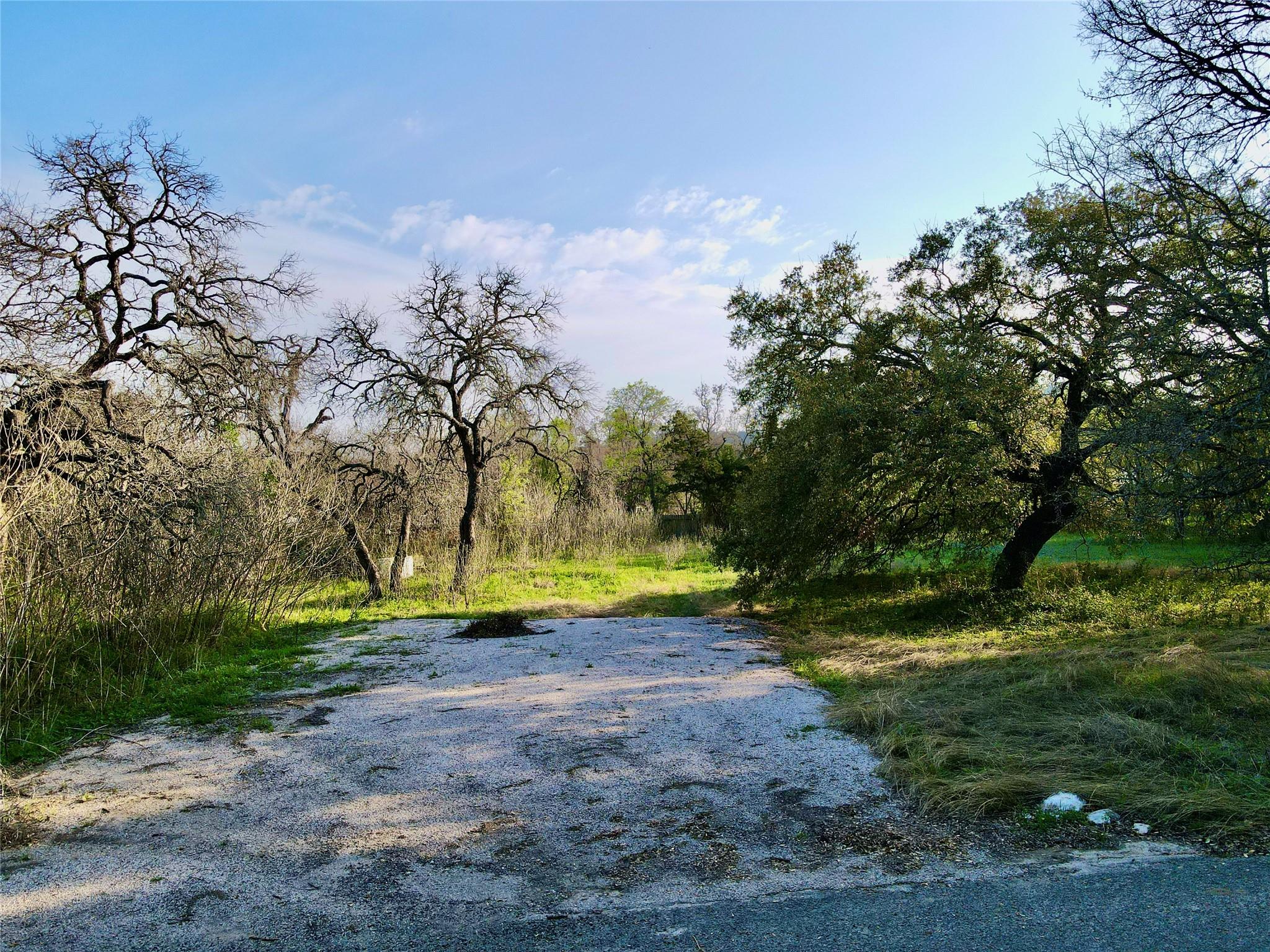 18311 Spring Ln, Jonestown, TX 78645