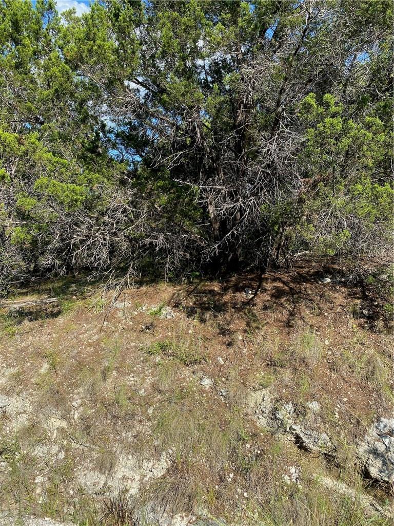 8711 Tepee Cv, Lago Vista, TX 78645