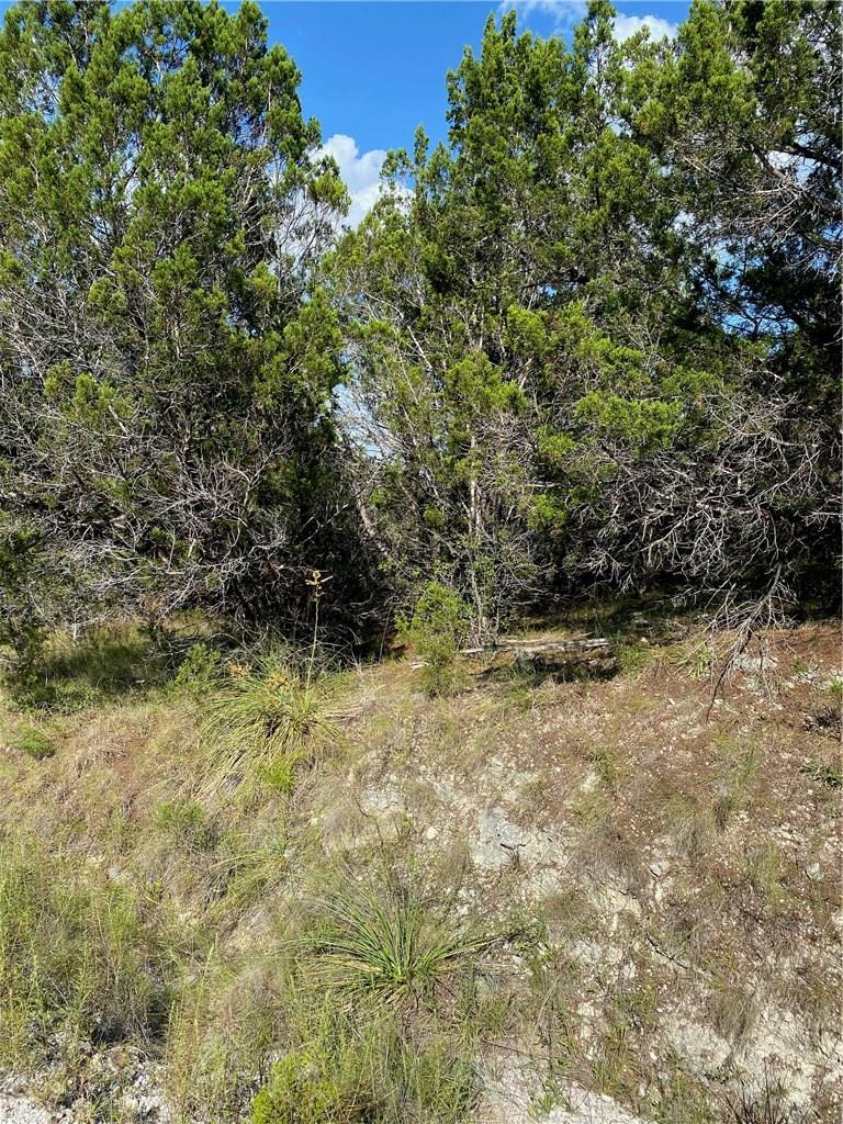 8711 Tepee Cv, Lago Vista, TX 78645