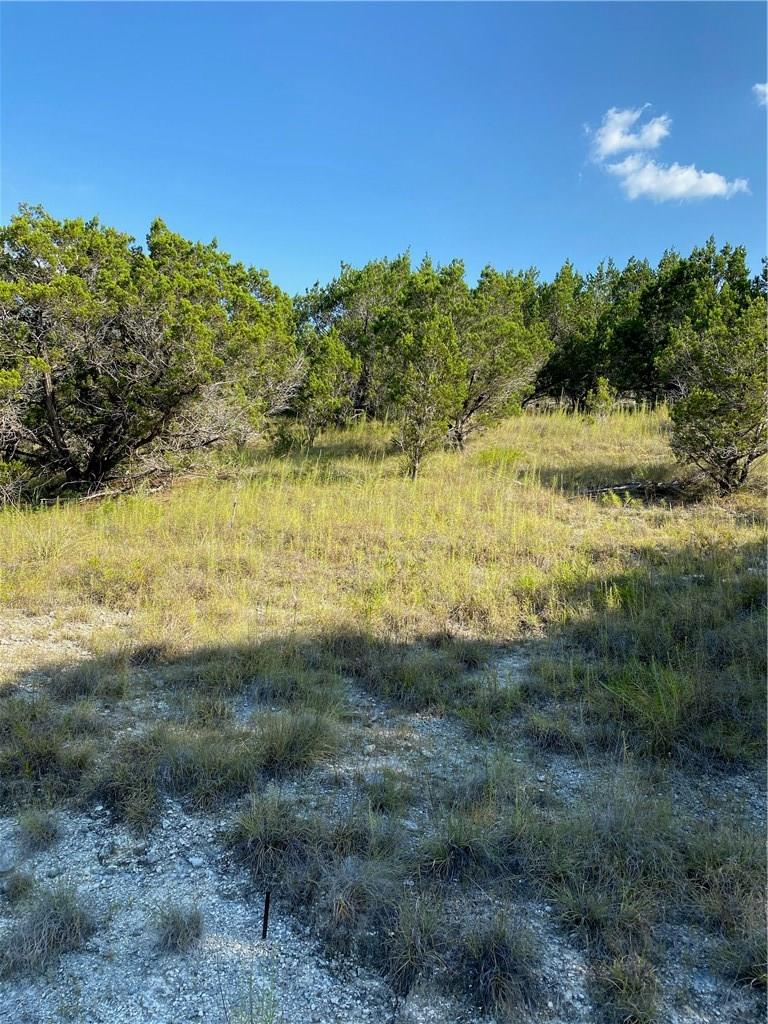 8711 Tepee Cv, Lago Vista, TX 78645