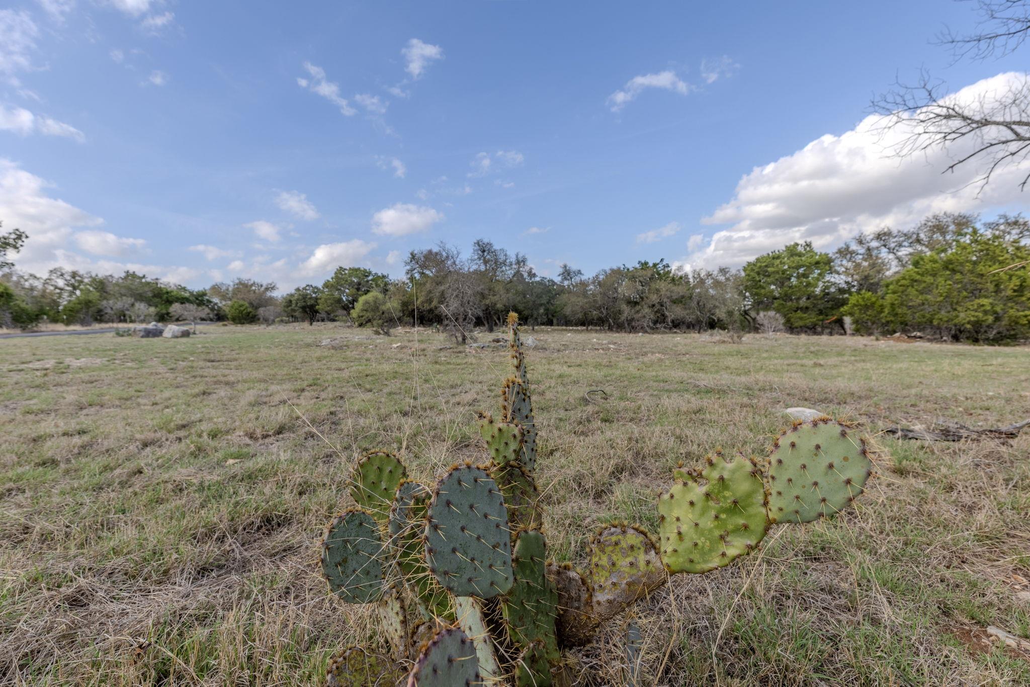 55 Camp Springs Ln, Georgetown, TX 78633